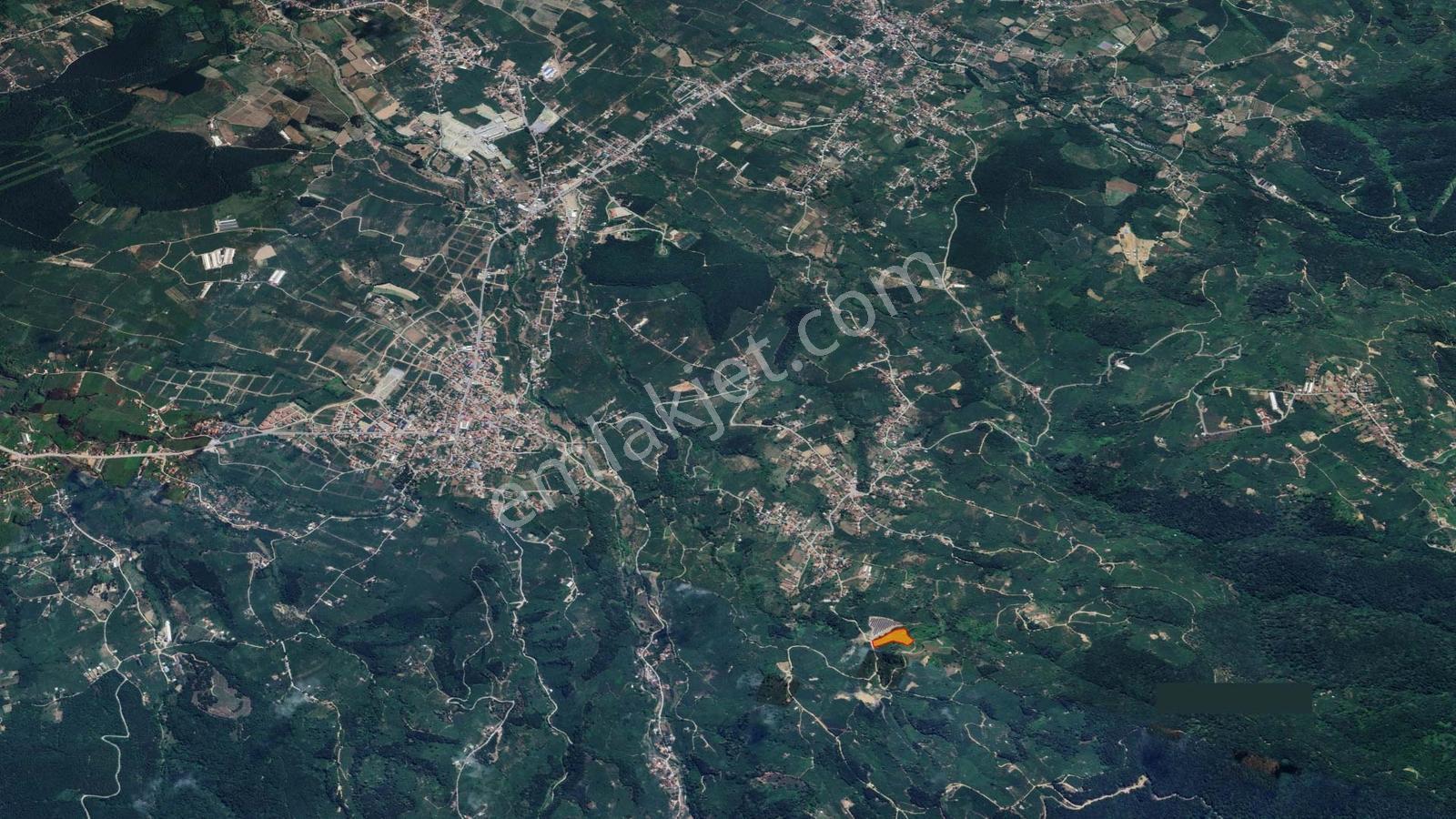 Sakarya Karapürçek Mecidiye'de Satılık 9644 M2 -fındıklık- Tarla — fotoğraf 9