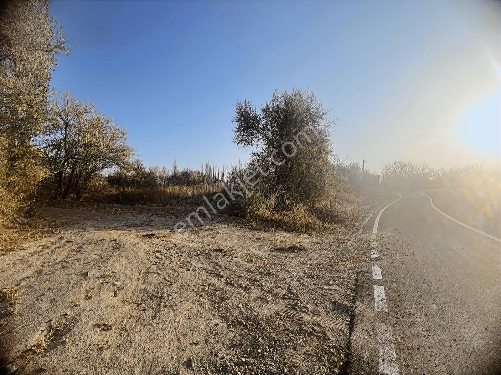 Subaşı'da Asvalt Yol Kenarı 3100 M2 Bağ — fotoğraf 2