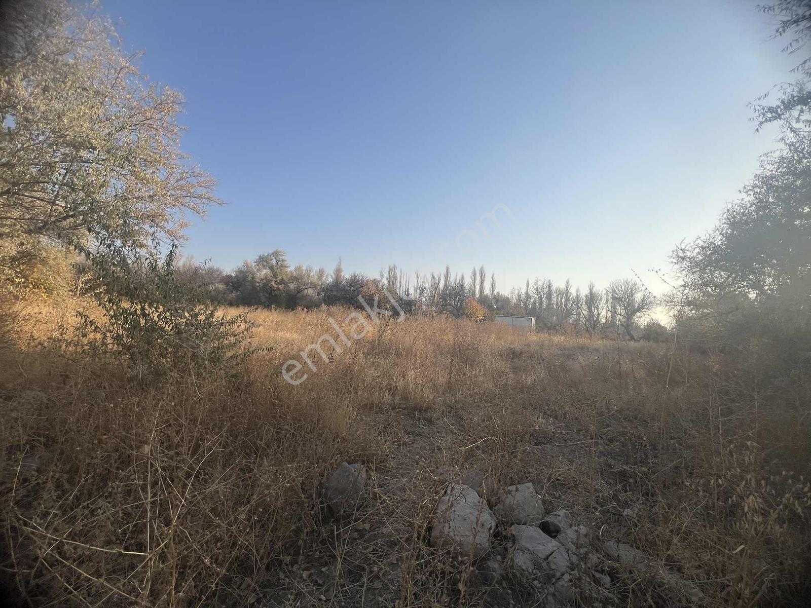 Subaşı'da Asvalt Yol Kenarı 3100 M2 Bağ — fotoğraf 3