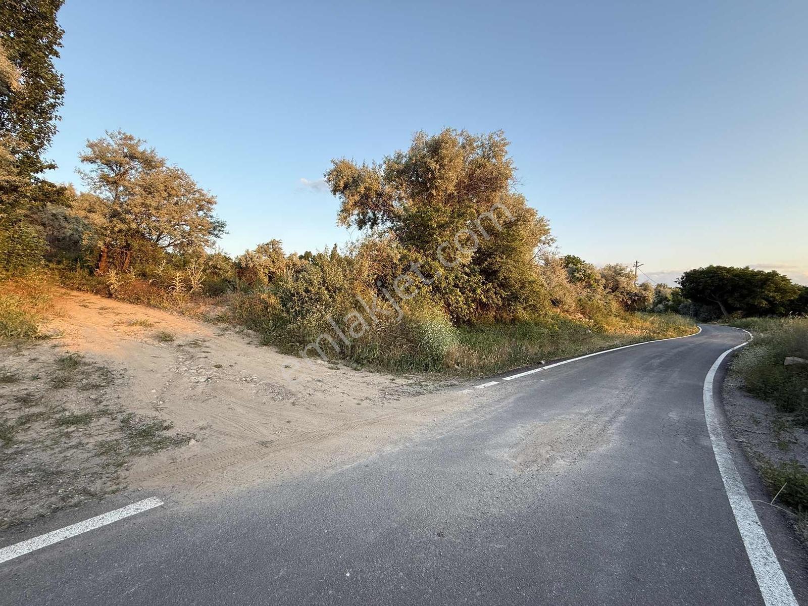 Subaşı'da Asvalt Yol Kenarı 3100 M2 Bağ — fotoğraf 5