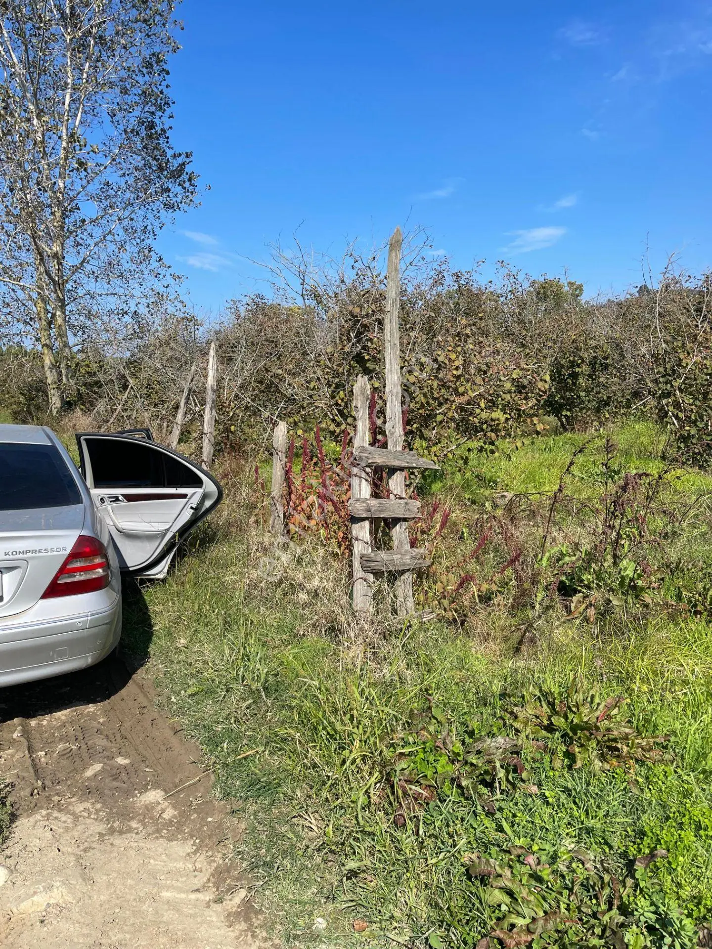 Sakarya Kocaali'de 5.740 M² Köye Yakın Fındık Bahçesi — fotoğraf 2
