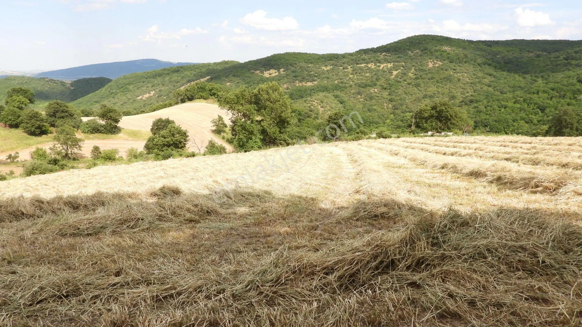 8.900 M2 Satılık Tarla Keşif Arazi . Balıkesir Gönen Ömerler 109-7-6 Parsel. — fotoğraf 4