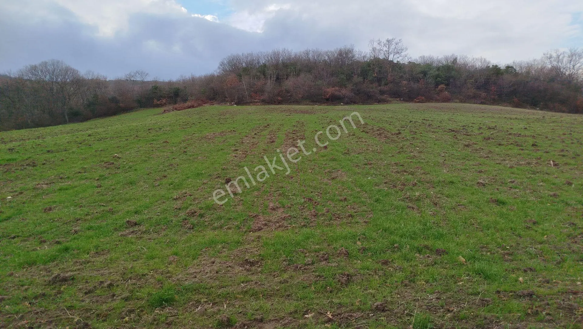 8.900 M2 Satılık Tarla Keşif Arazi . Balıkesir Gönen Ömerler 109-7-6 Parsel. — fotoğraf 5