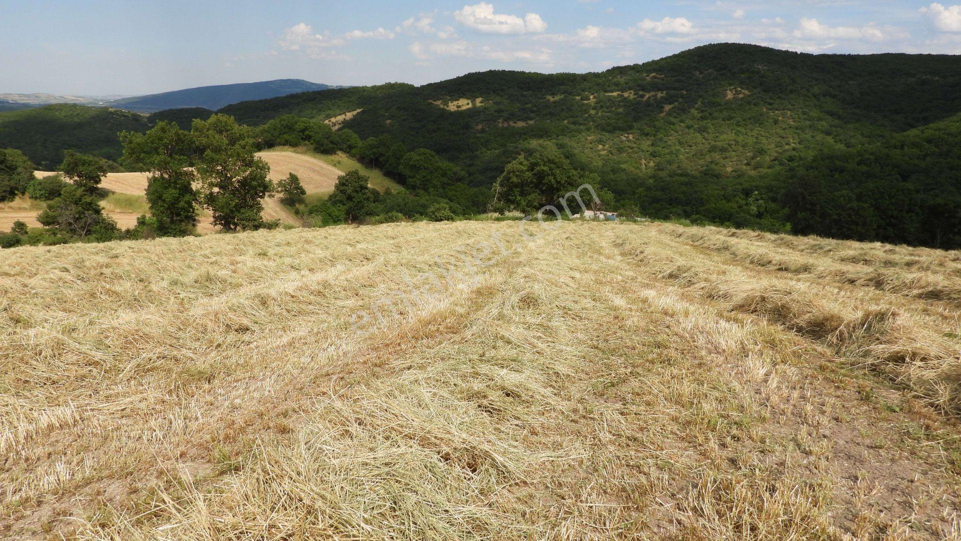 8.900 M2 Satılık Tarla Keşif Arazi . Balıkesir Gönen Ömerler 109-7-6 Parsel. — fotoğraf 8