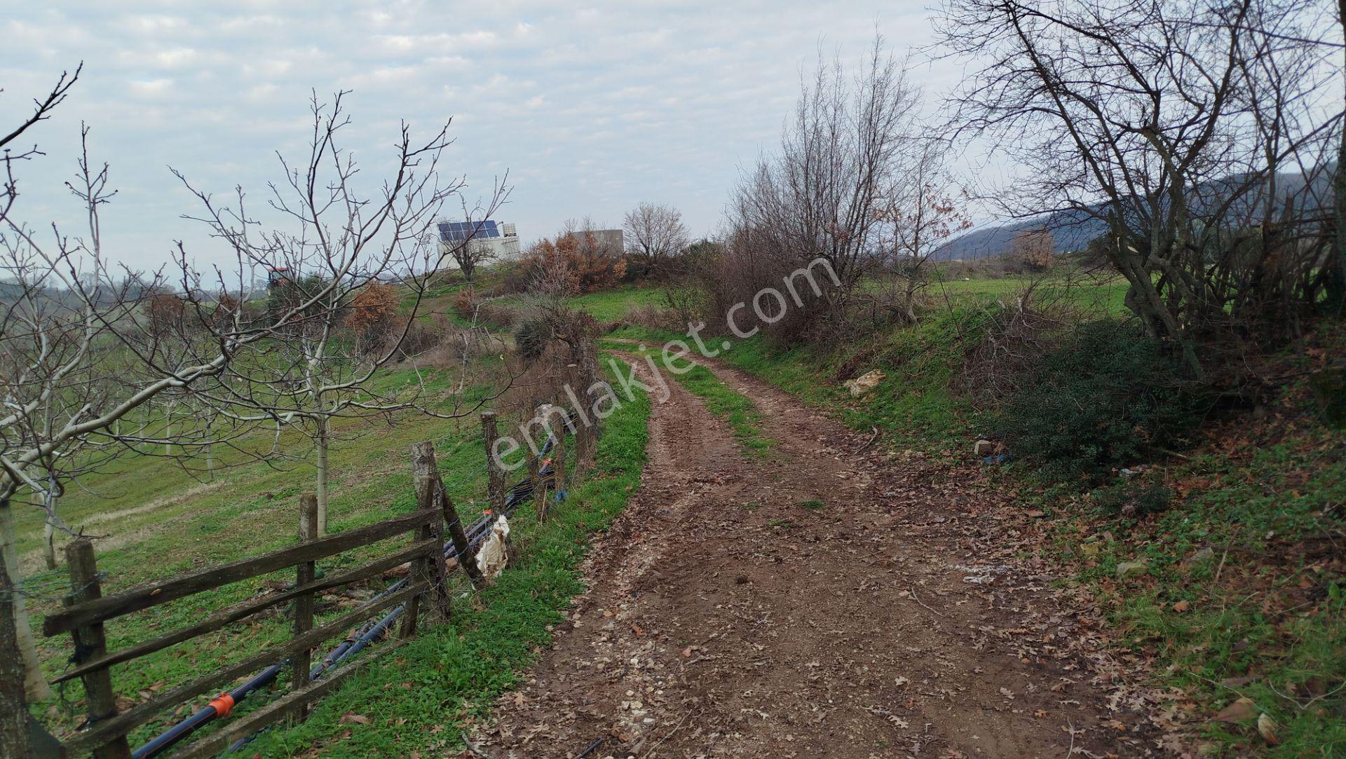 8.900 M2 Satılık Tarla Keşif Arazi . Balıkesir Gönen Ömerler 109-7-6 Parsel. — fotoğraf 9