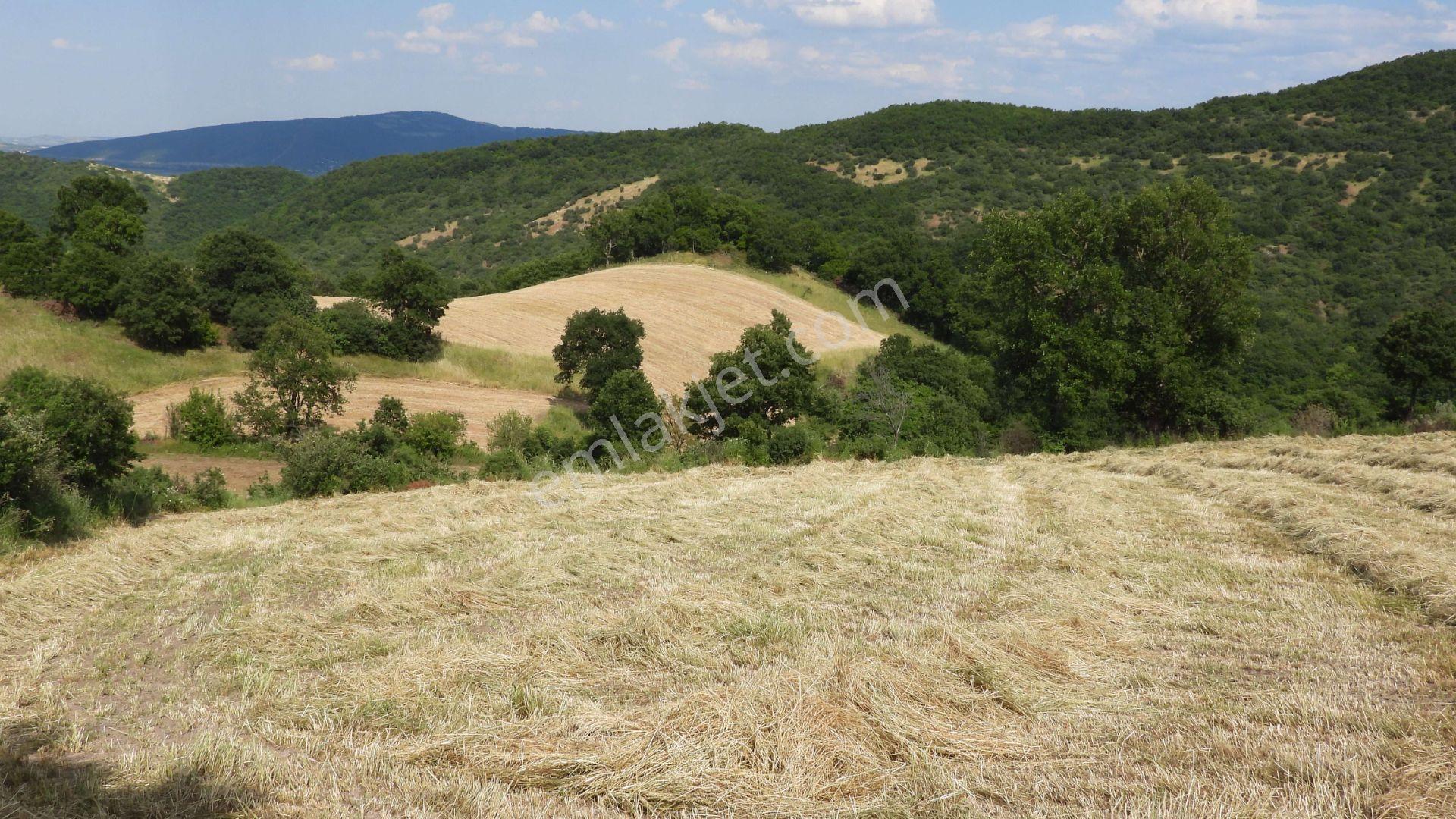 8.900 M2 Satılık Tarla Keşif Arazi . Balıkesir Gönen Ömerler 109-7-6 Parsel. — fotoğraf 12