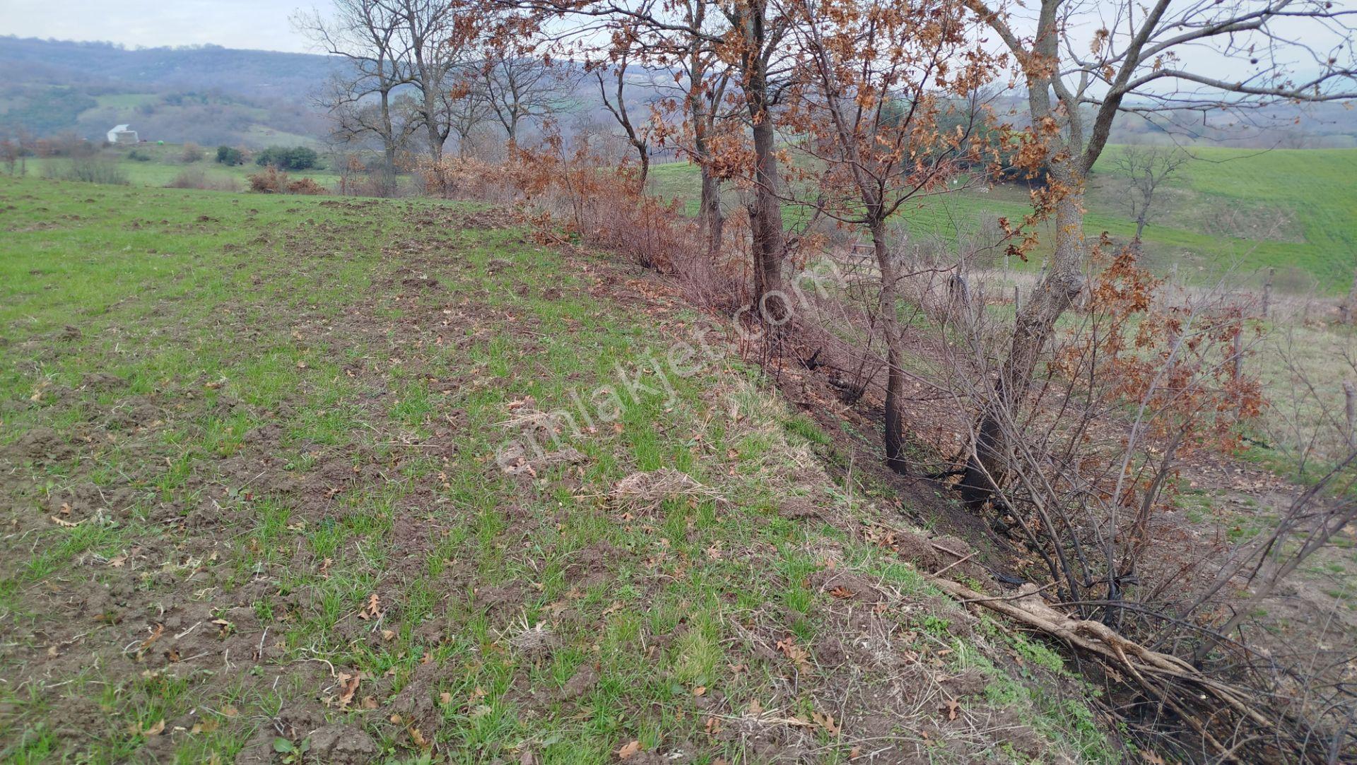 8.900 M2 Satılık Tarla Keşif Arazi . Balıkesir Gönen Ömerler 109-7-6 Parsel. — fotoğraf 13
