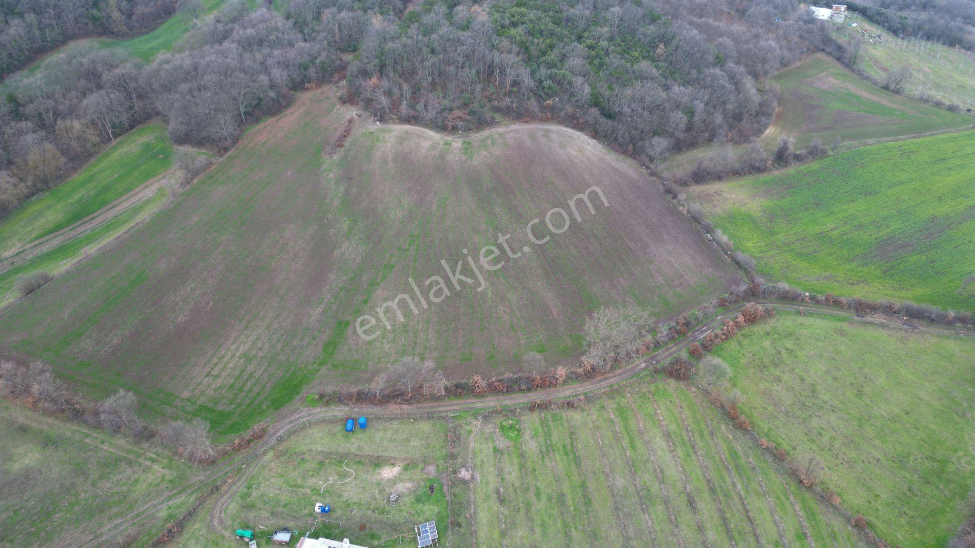 8.900 M2 Satılık Tarla Keşif Arazi . Balıkesir Gönen Ömerler 109-7-6 Parsel. — fotoğraf 15