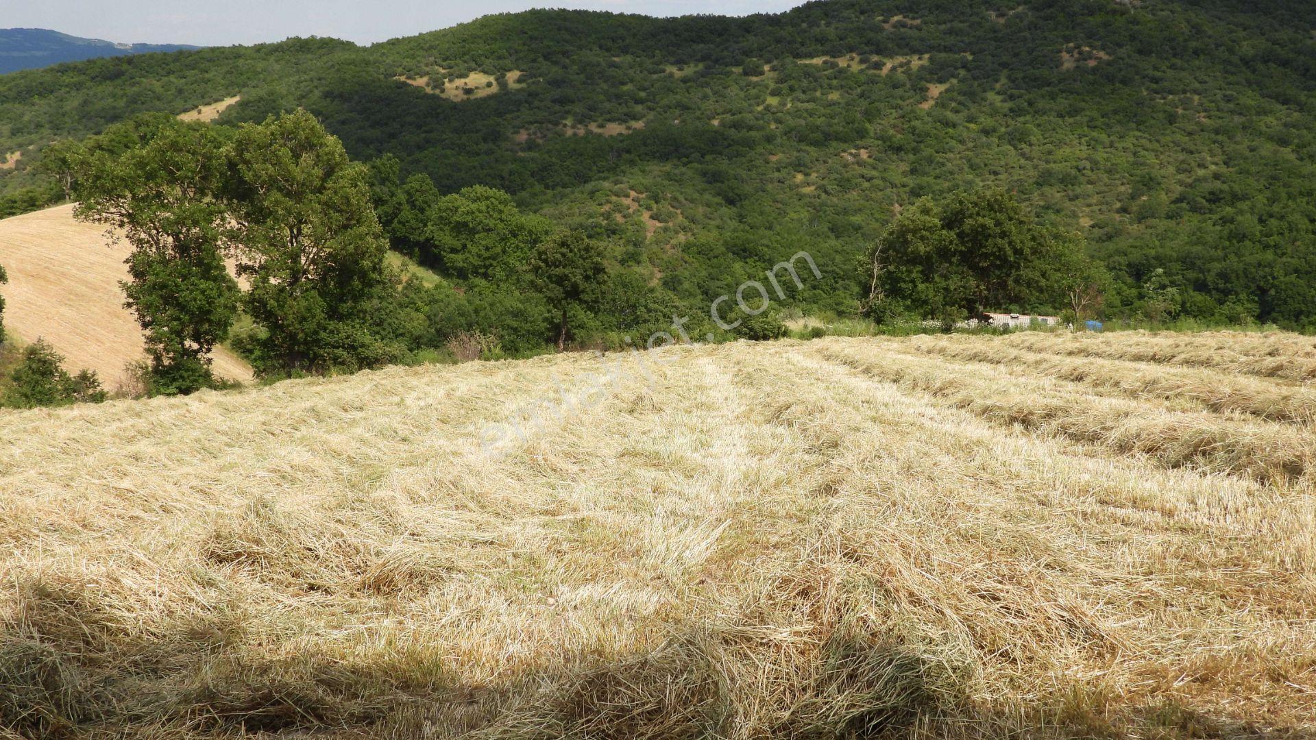 8.900 M2 Satılık Tarla Keşif Arazi . Balıkesir Gönen Ömerler 109-7-6 Parsel. — fotoğraf 18
