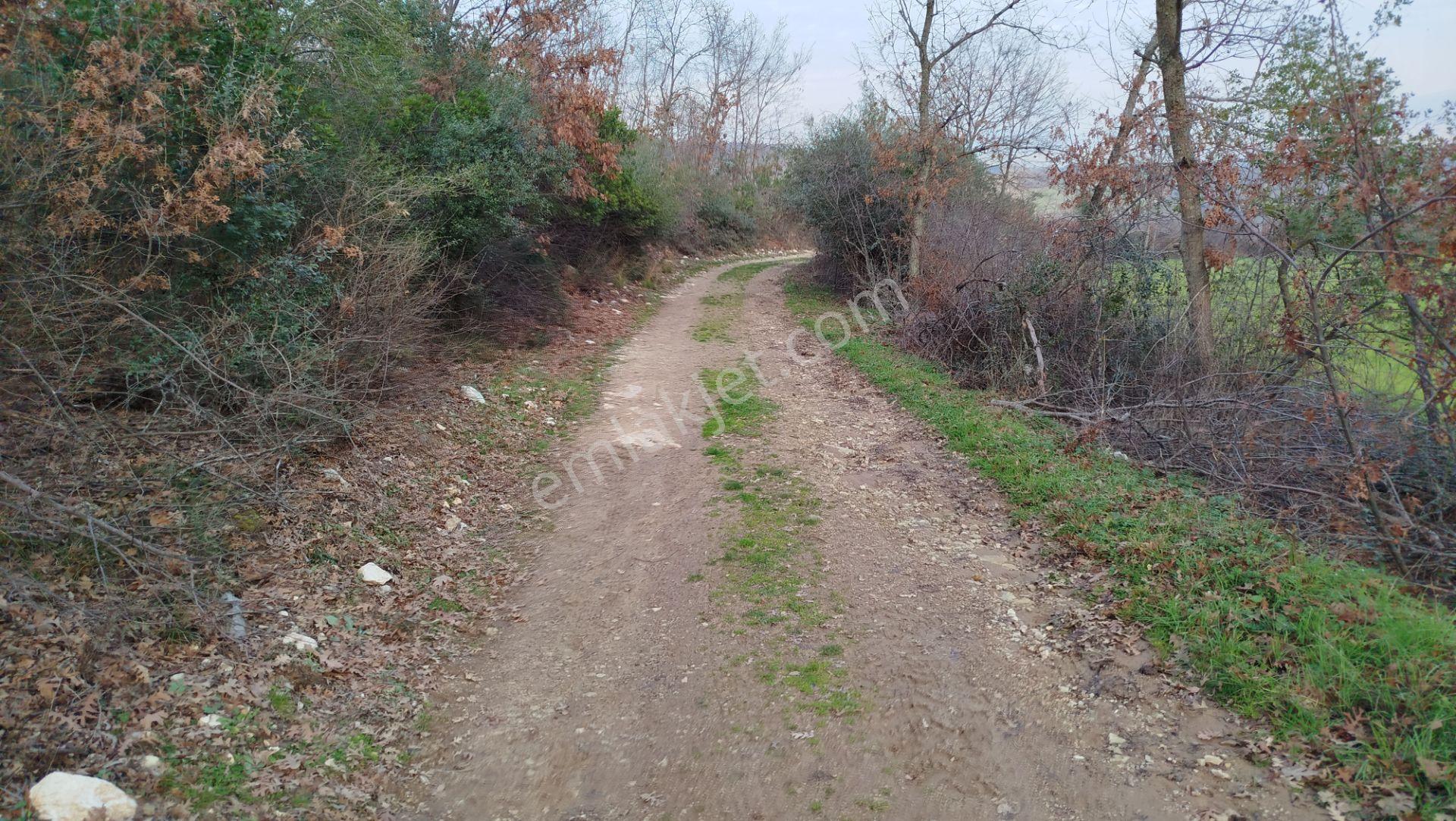 8.900 M2 Satılık Tarla Keşif Arazi . Balıkesir Gönen Ömerler 109-7-6 Parsel. — fotoğraf 19