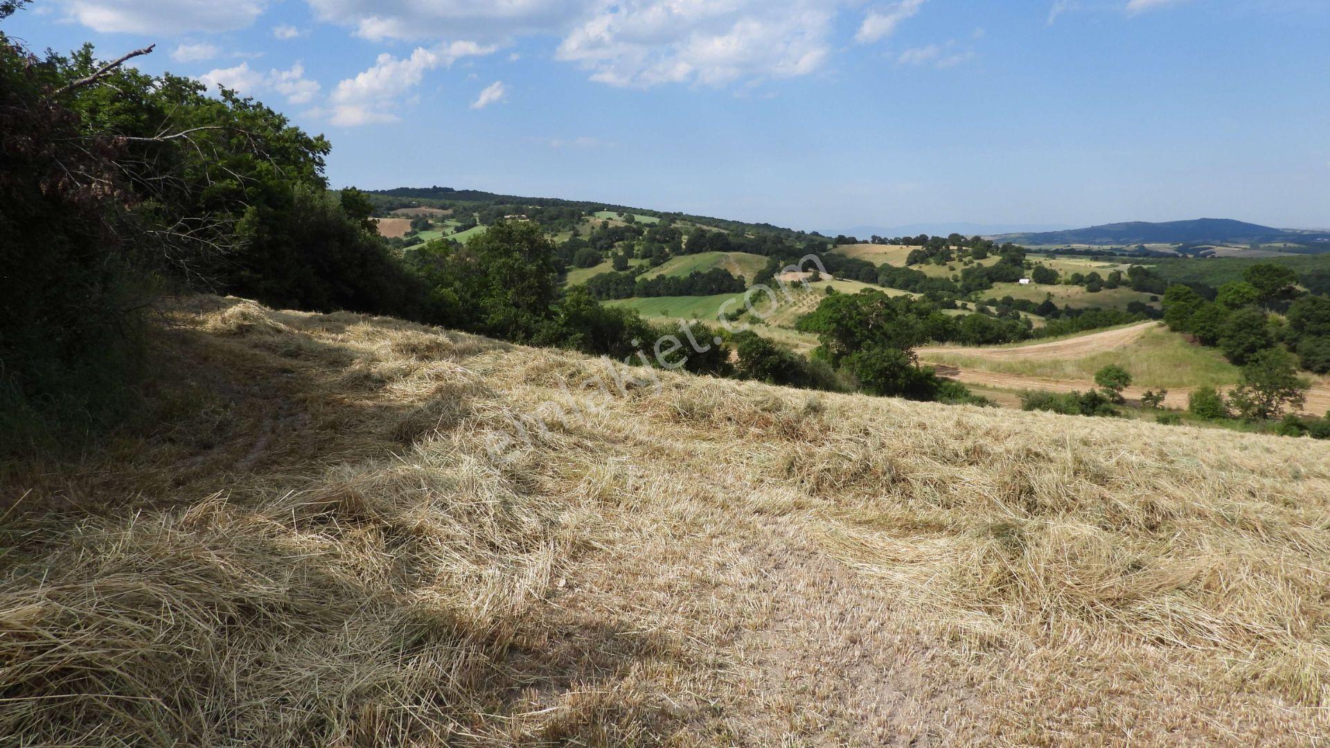 8.900 M2 Satılık Tarla Keşif Arazi . Balıkesir Gönen Ömerler 109-7-6 Parsel. — fotoğraf 22