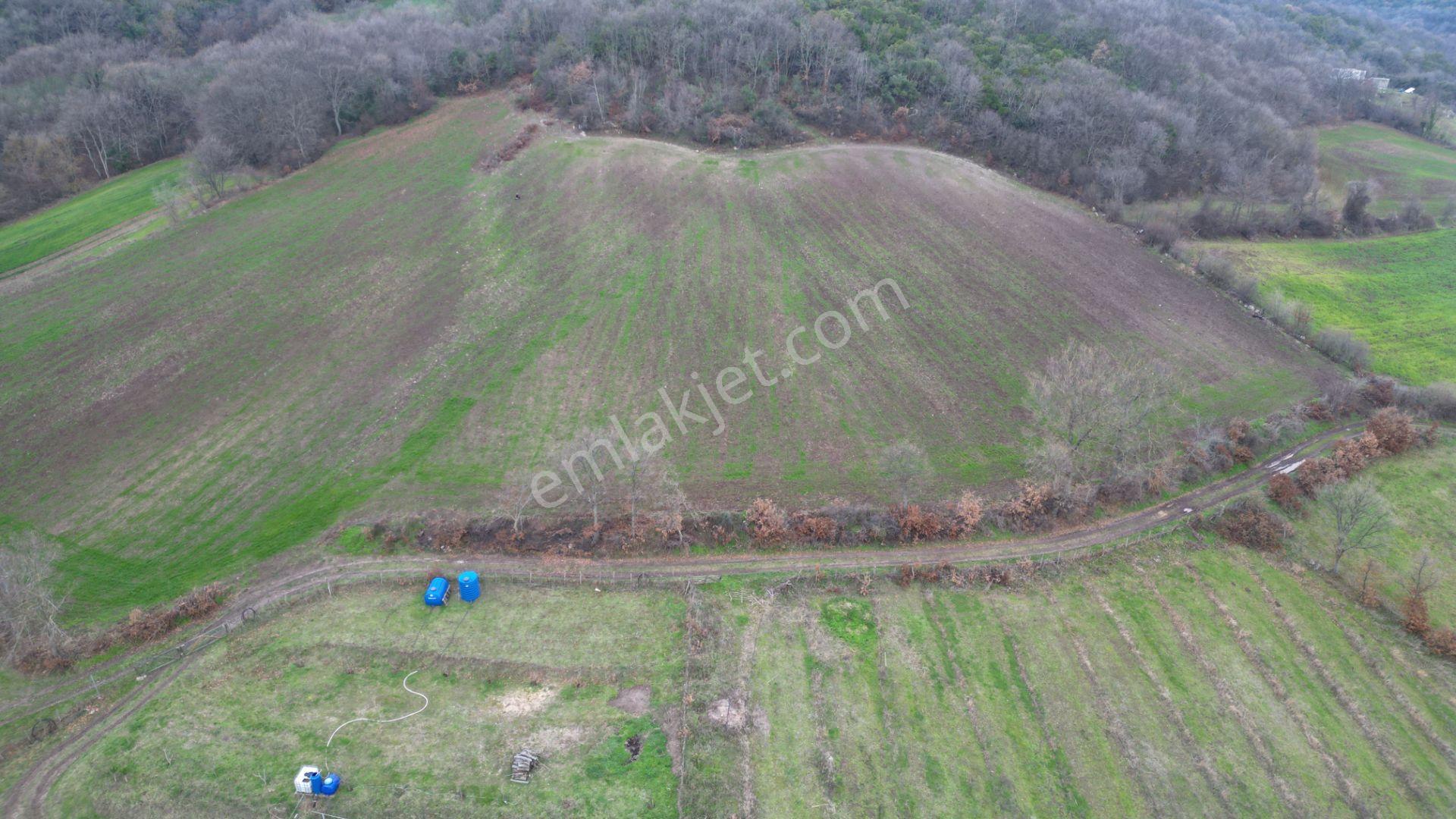 8.900 M2 Satılık Tarla Keşif Arazi . Balıkesir Gönen Ömerler 109-7-6 Parsel. — fotoğraf 23