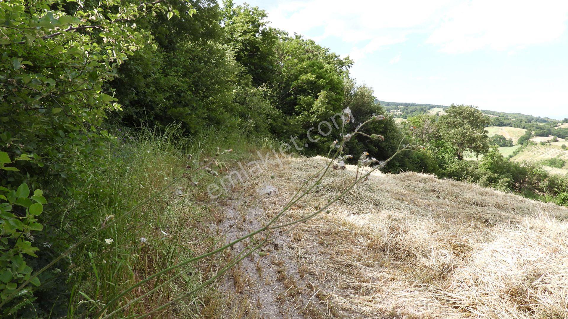 8.900 M2 Satılık Tarla Keşif Arazi . Balıkesir Gönen Ömerler 109-7-6 Parsel. — fotoğraf 26