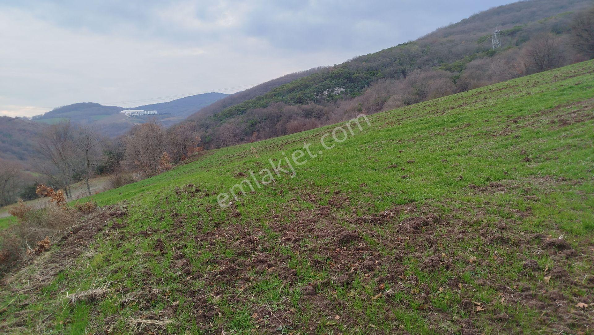 8.900 M2 Satılık Tarla Keşif Arazi . Balıkesir Gönen Ömerler 109-7-6 Parsel. — fotoğraf 27