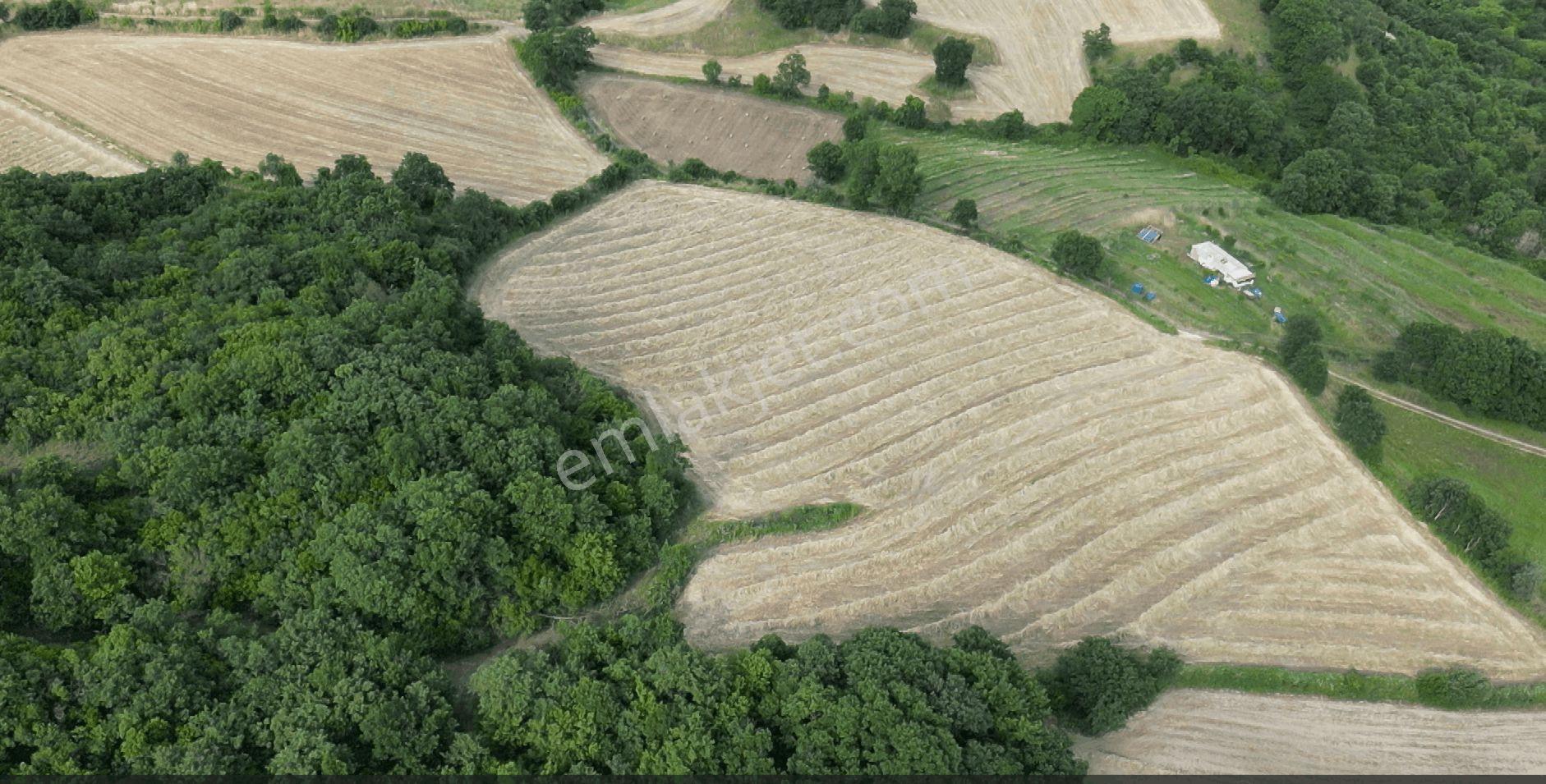 8.900 M2 Satılık Tarla Keşif Arazi . Balıkesir Gönen Ömerler 109-7-6 Parsel. — fotoğraf 28