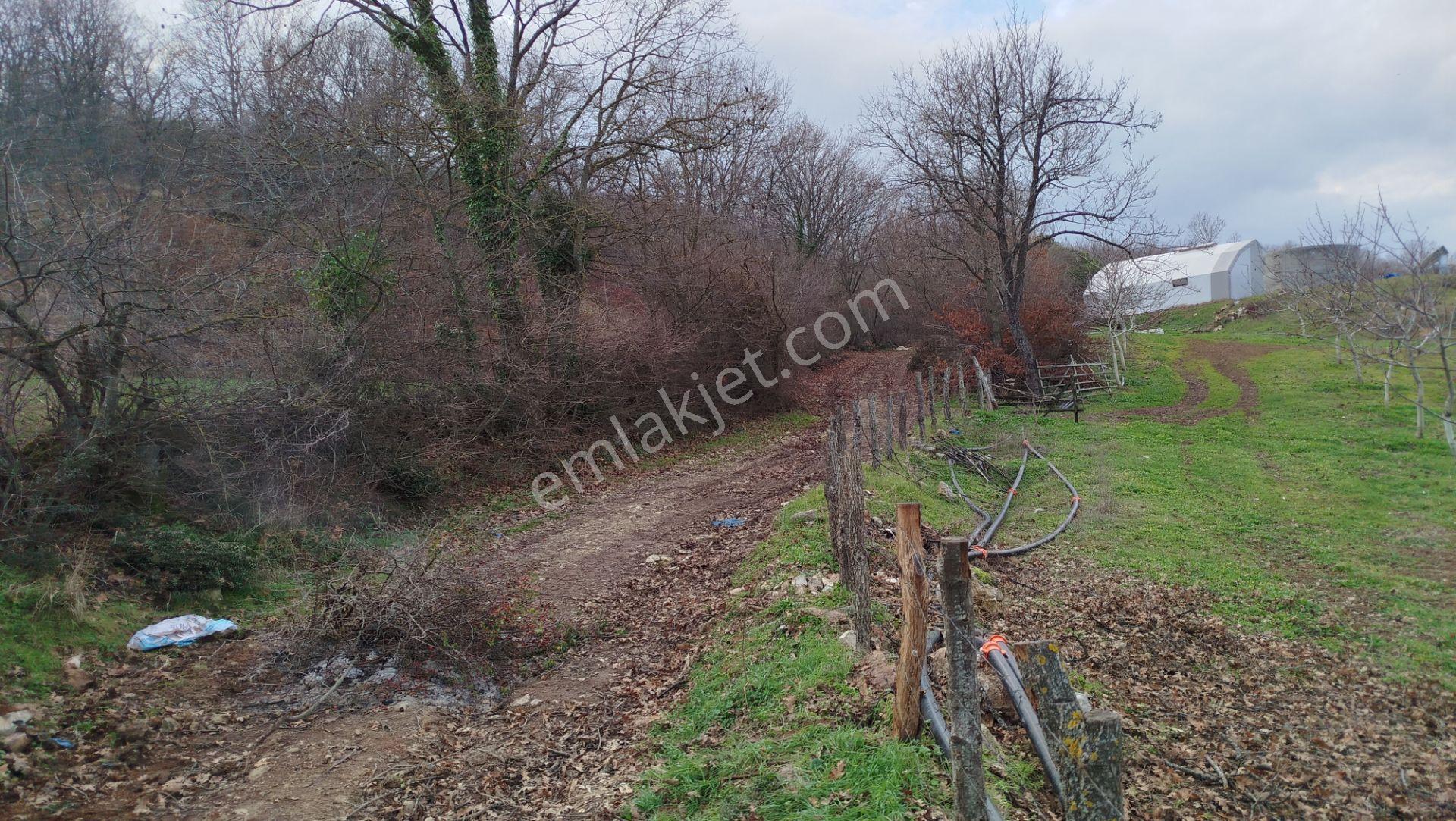 8.900 M2 Satılık Tarla Keşif Arazi . Balıkesir Gönen Ömerler 109-7-6 Parsel. — fotoğraf 29