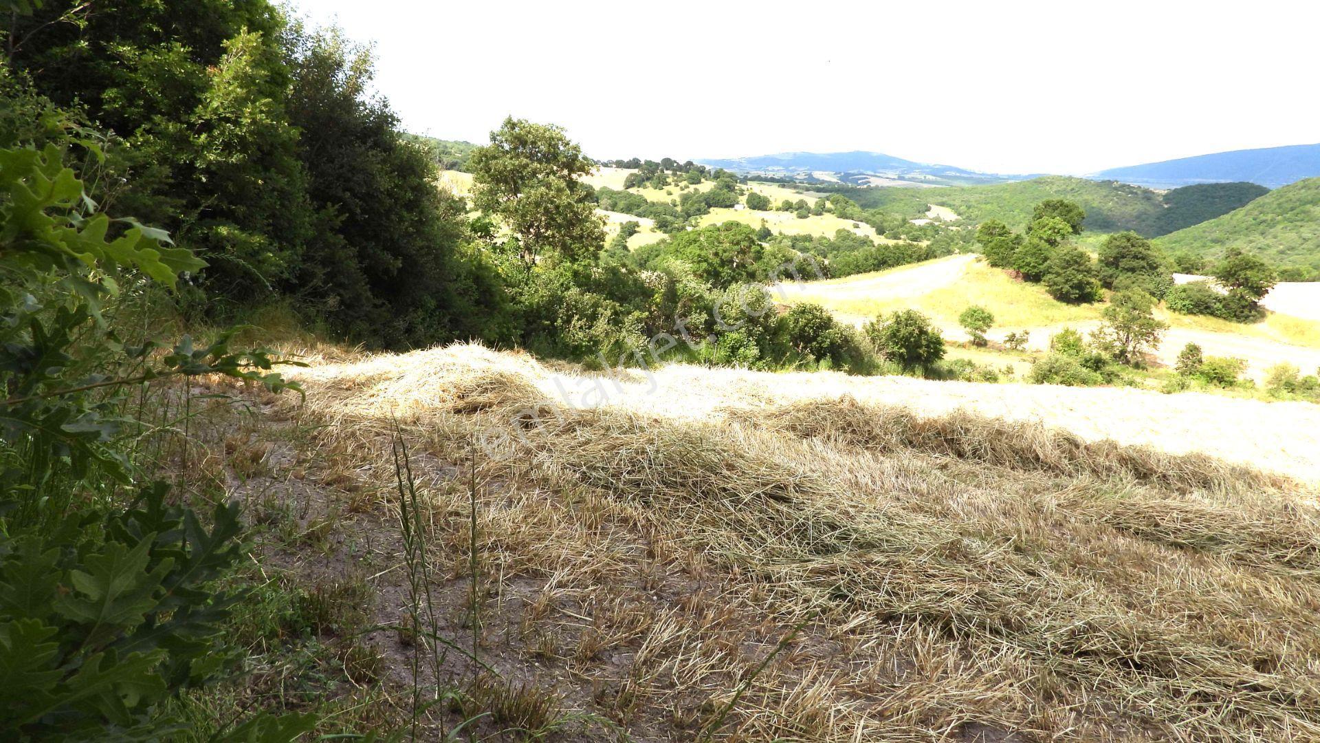 8.900 M2 Satılık Tarla Keşif Arazi . Balıkesir Gönen Ömerler 109-7-6 Parsel. — fotoğraf 30