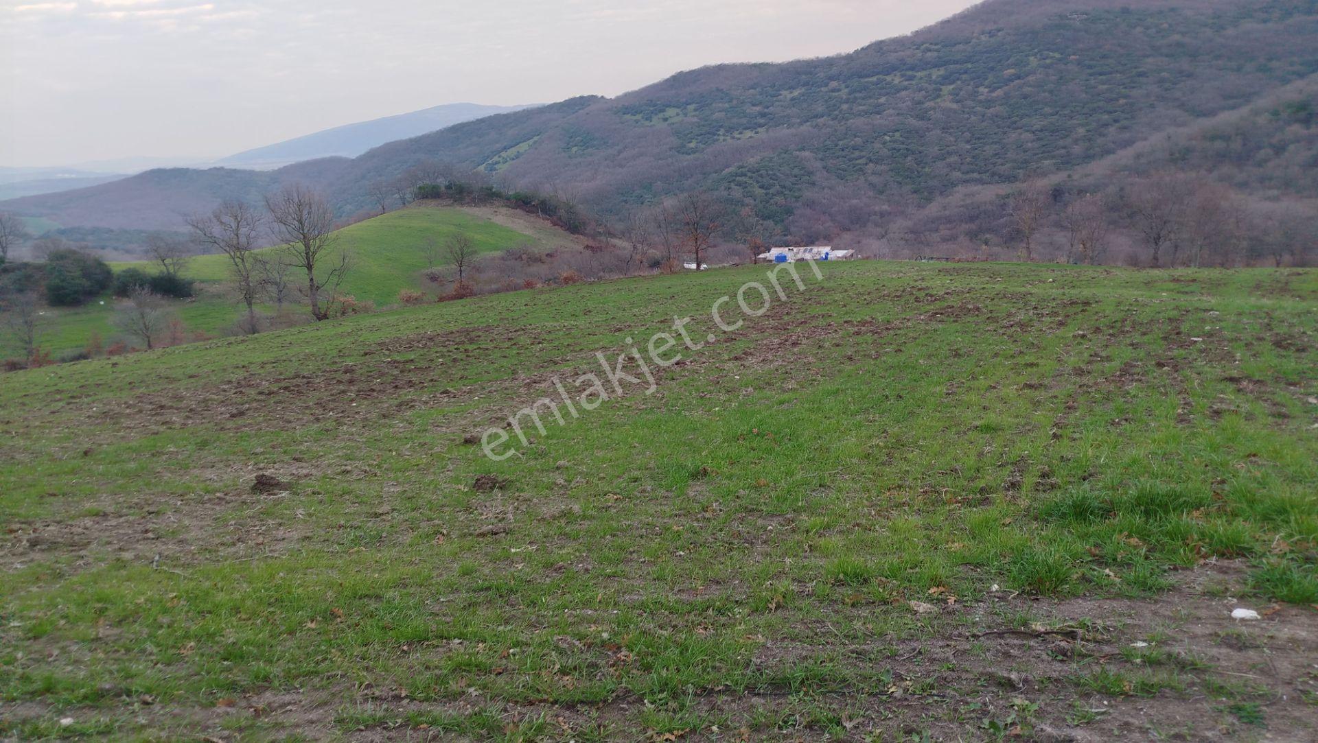 8.900 M2 Satılık Tarla Keşif Arazi . Balıkesir Gönen Ömerler 109-7-6 Parsel. — fotoğraf 31