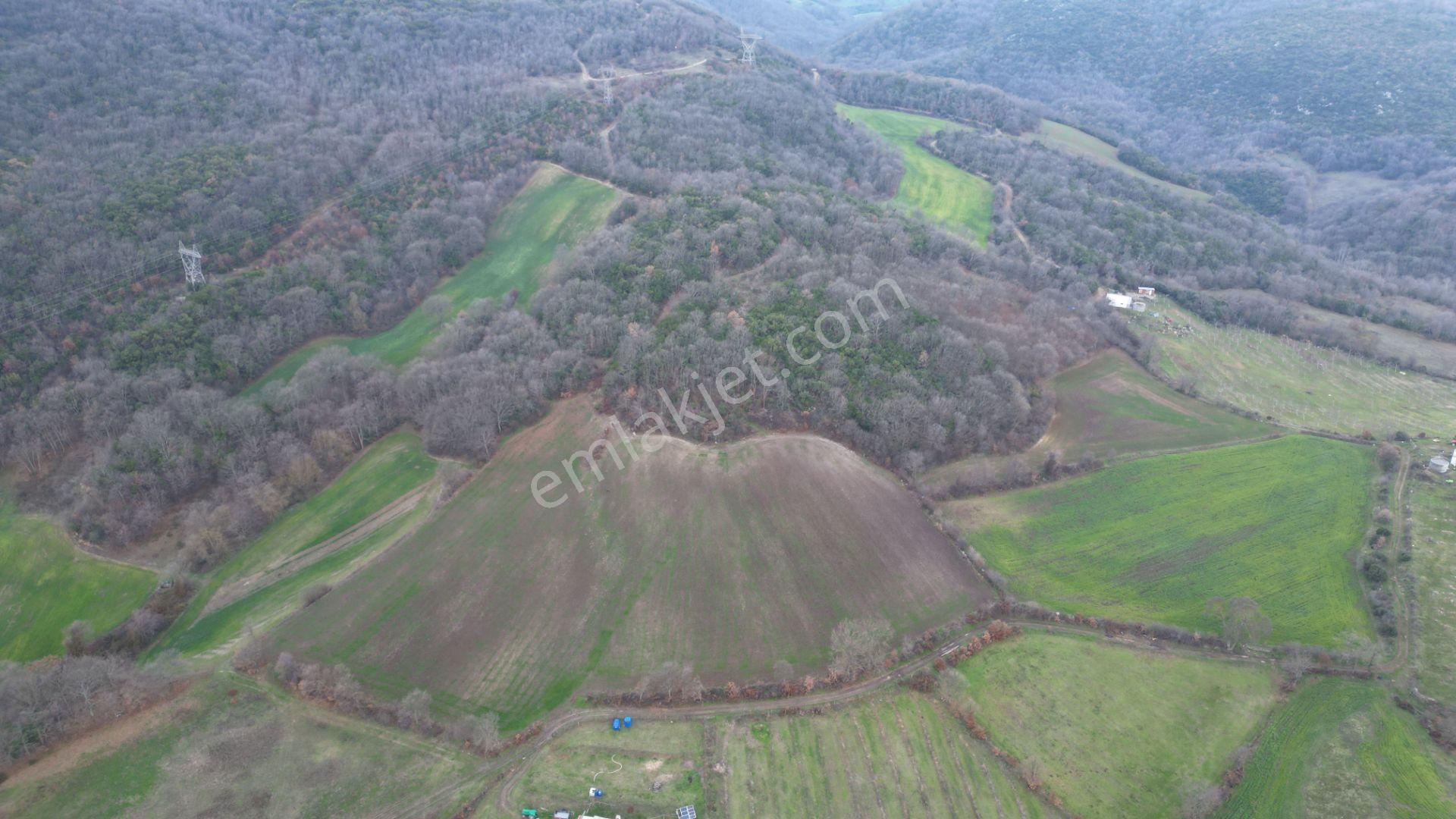 8.900 M2 Satılık Tarla Keşif Arazi . Balıkesir Gönen Ömerler 109-7-6 Parsel. — fotoğraf 32