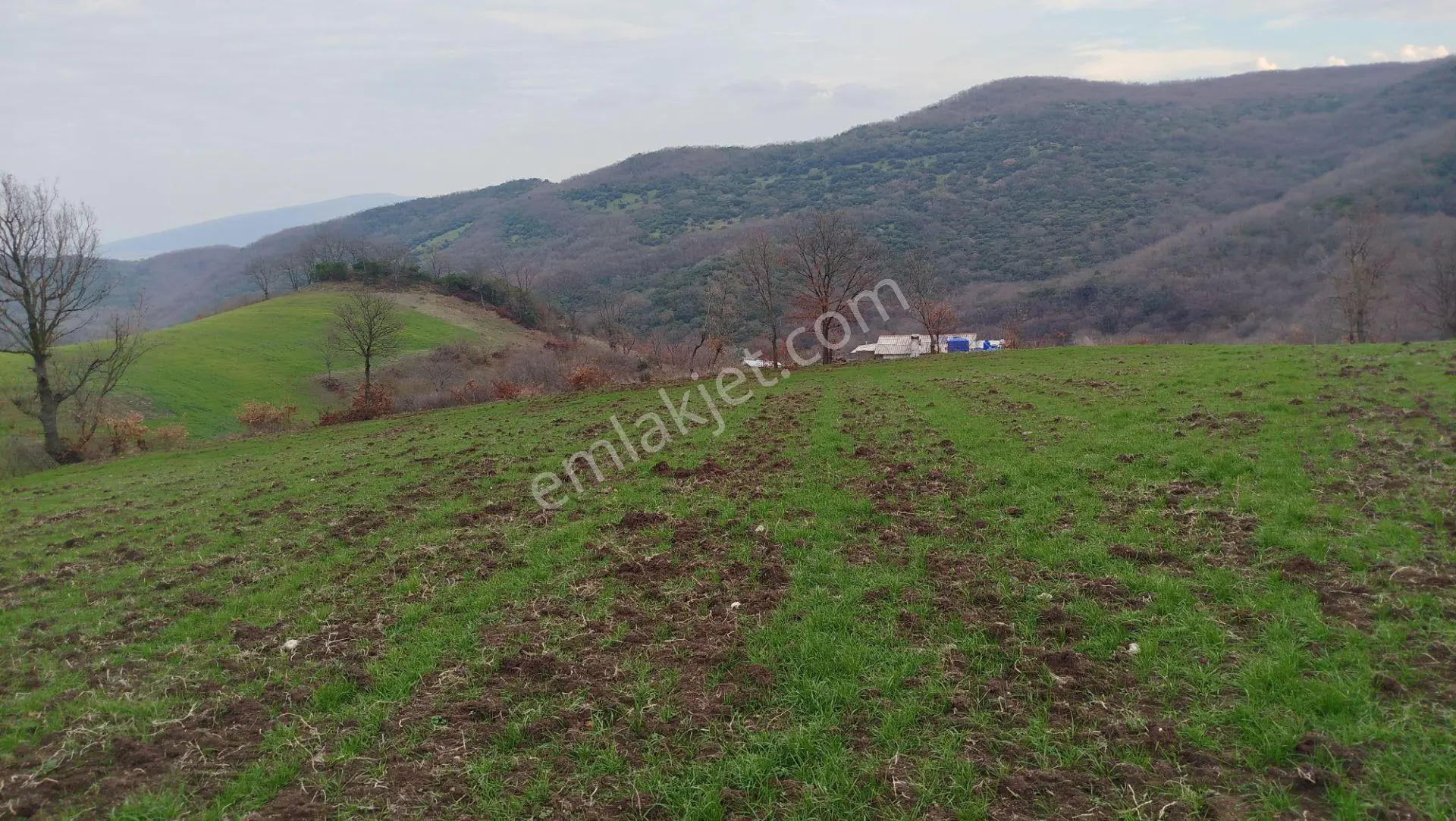 8.900 M2 Satılık Tarla Keşif Arazi . Balıkesir Gönen Ömerler 109-7-6 Parsel. — fotoğraf 35