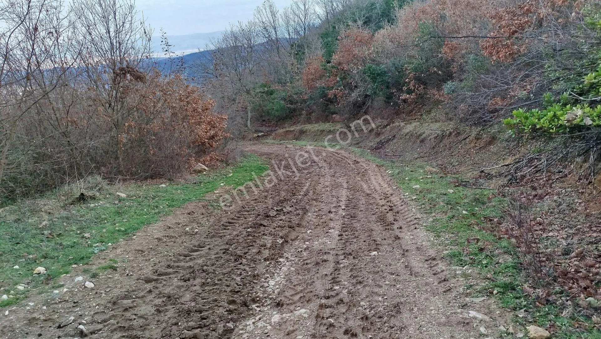 8.900 M2 Satılık Tarla Keşif Arazi . Balıkesir Gönen Ömerler 109-7-6 Parsel. — fotoğraf 37
