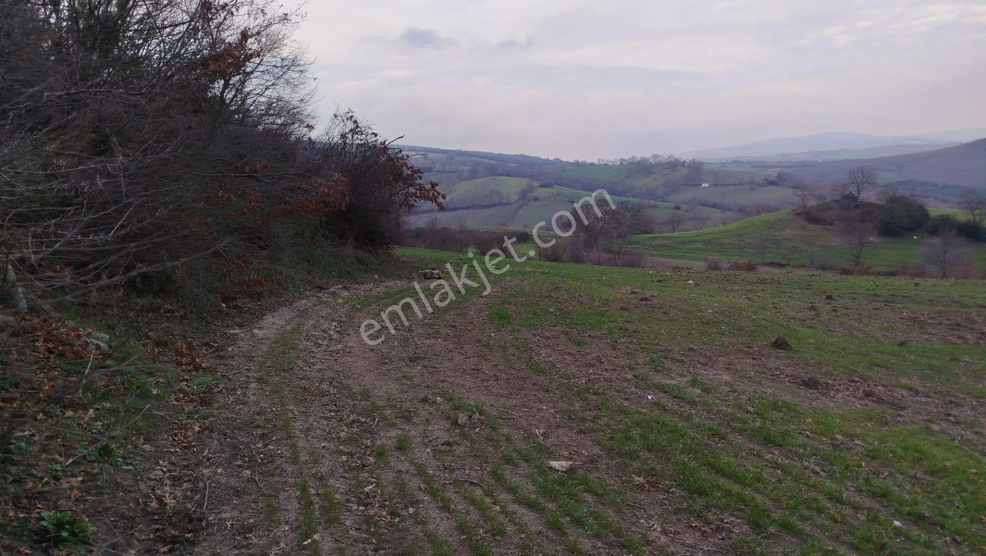 8.900 M2 Satılık Tarla Keşif Arazi . Balıkesir Gönen Ömerler 109-7-6 Parsel. — fotoğraf 38