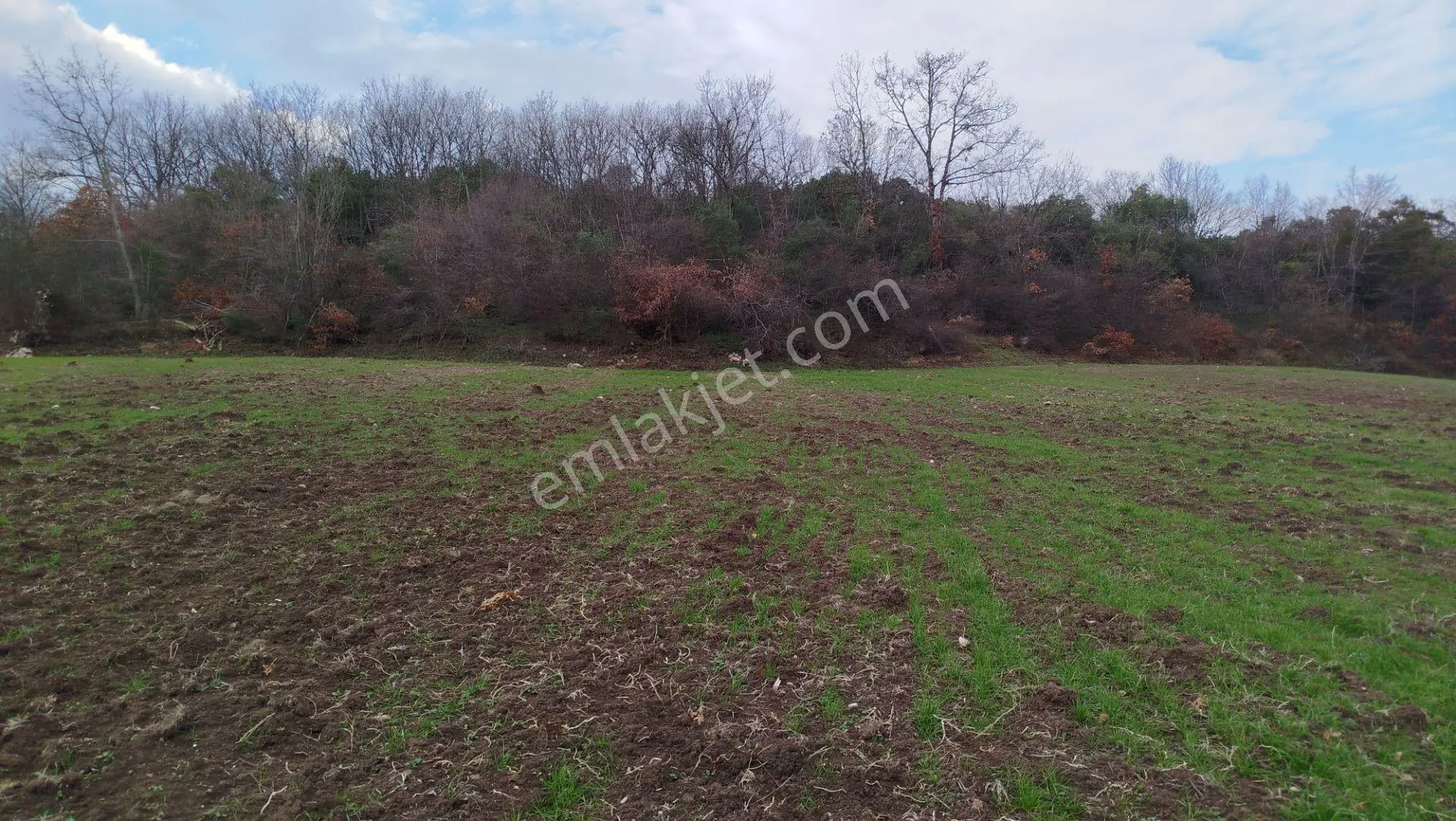 8.900 M2 Satılık Tarla Keşif Arazi . Balıkesir Gönen Ömerler 109-7-6 Parsel. — fotoğraf 43