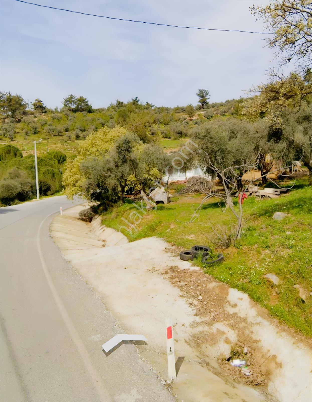 Torbalı Dirmil Dirmildağı Mevkiinde Satılık Zeytinlik — fotoğraf 6