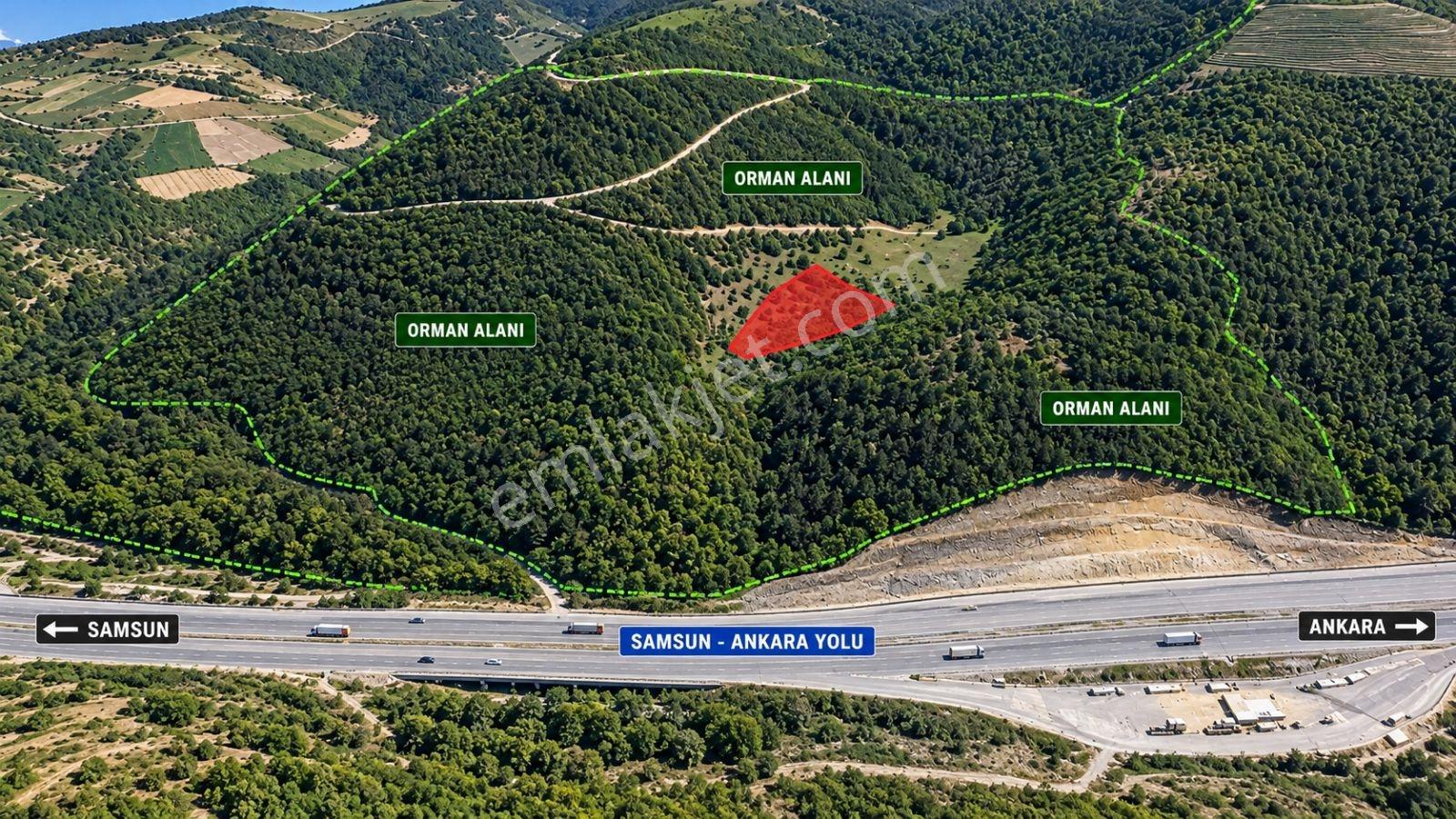 5557 M2/tek Tapu/satılık Tarla/remax Serhat — fotoğraf 2