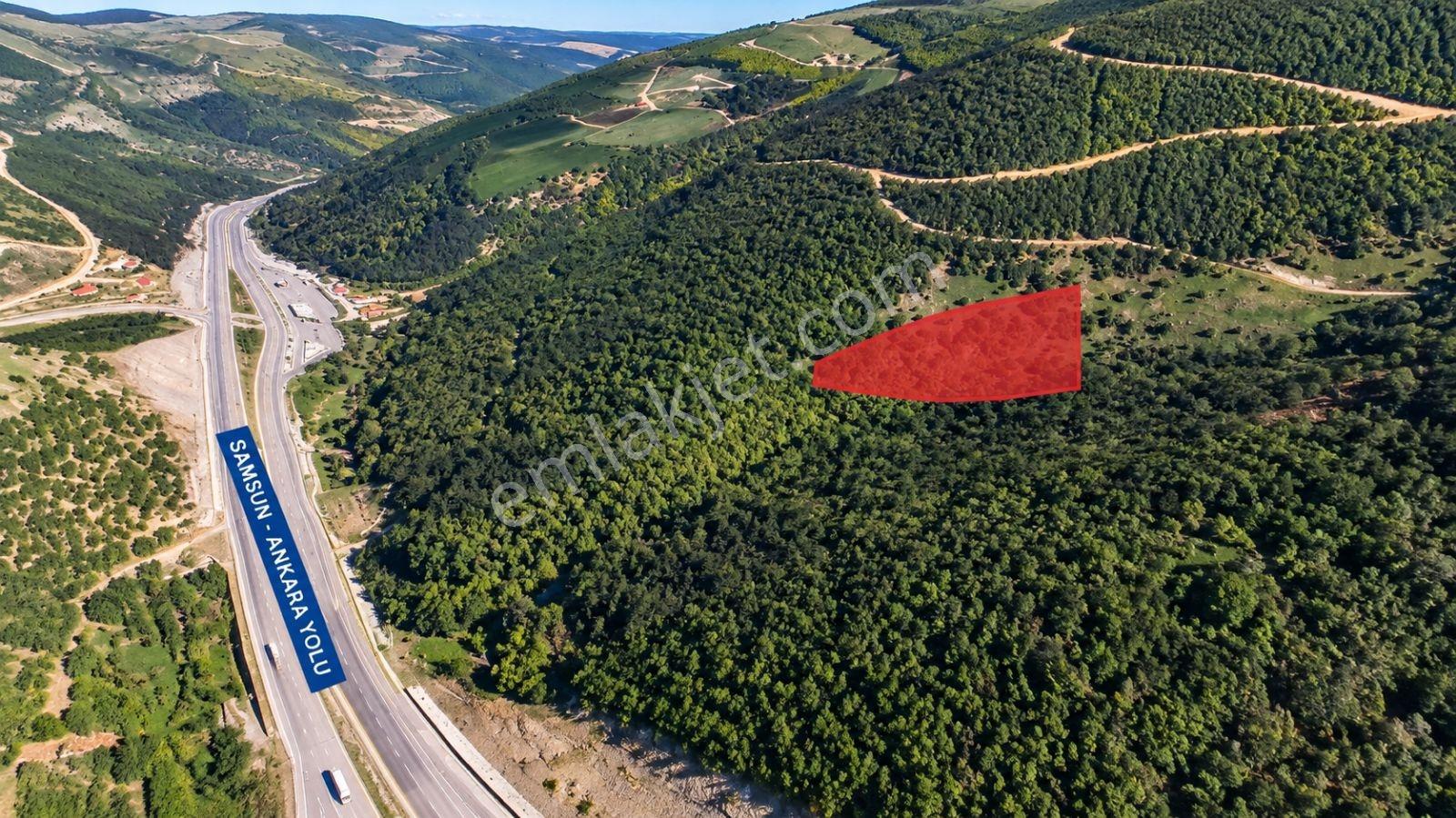 5557 M2/tek Tapu/satılık Tarla/remax Serhat — fotoğraf 3