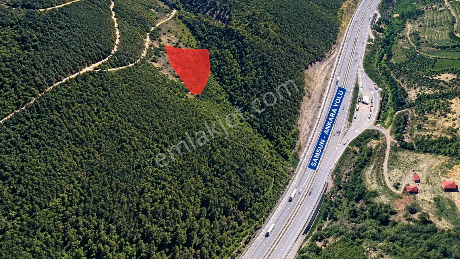5557 M2/tek Tapu/satılık Tarla/remax Serhat — fotoğraf 4