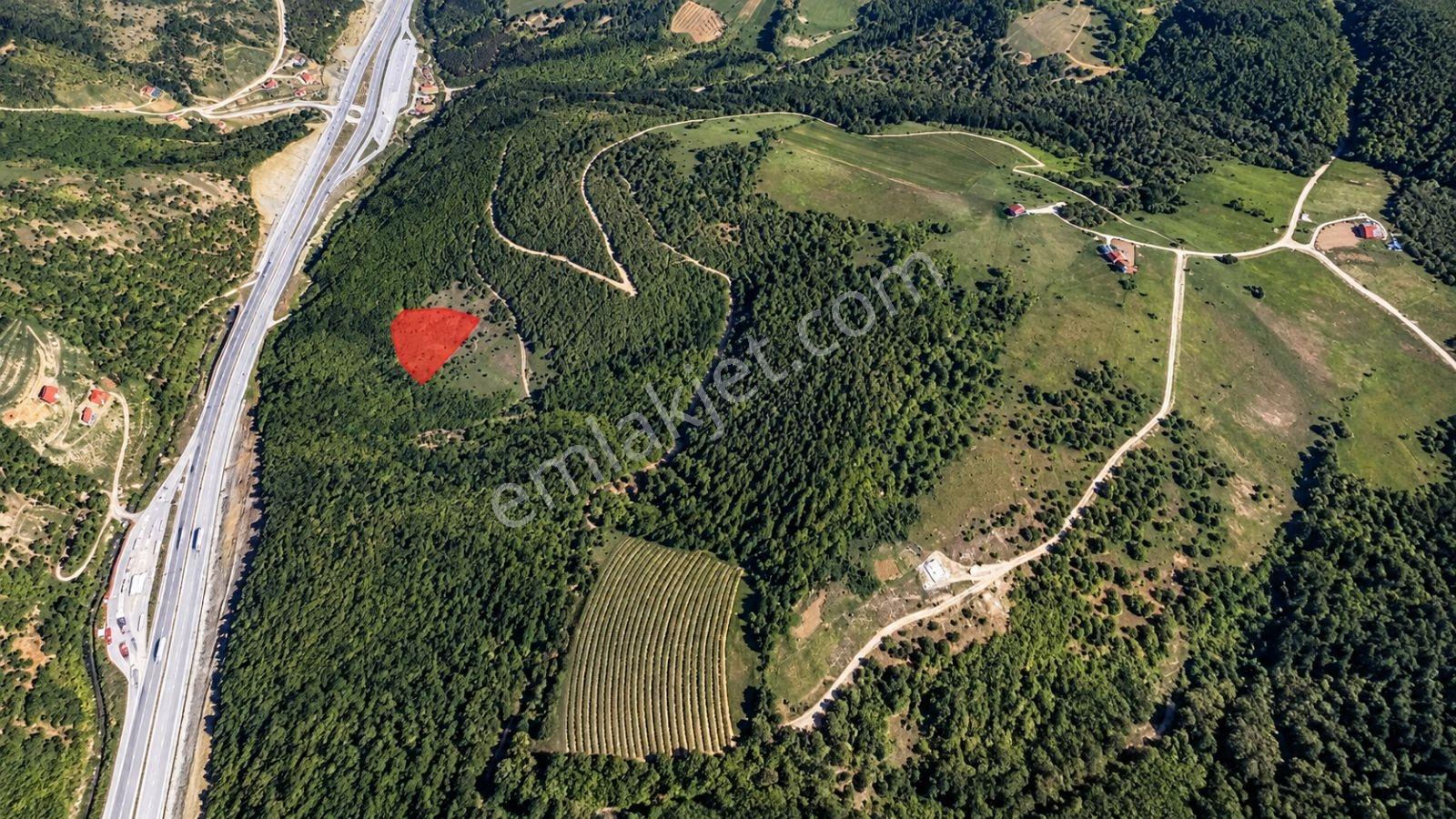 5557 M2/tek Tapu/satılık Tarla/remax Serhat — fotoğraf 5