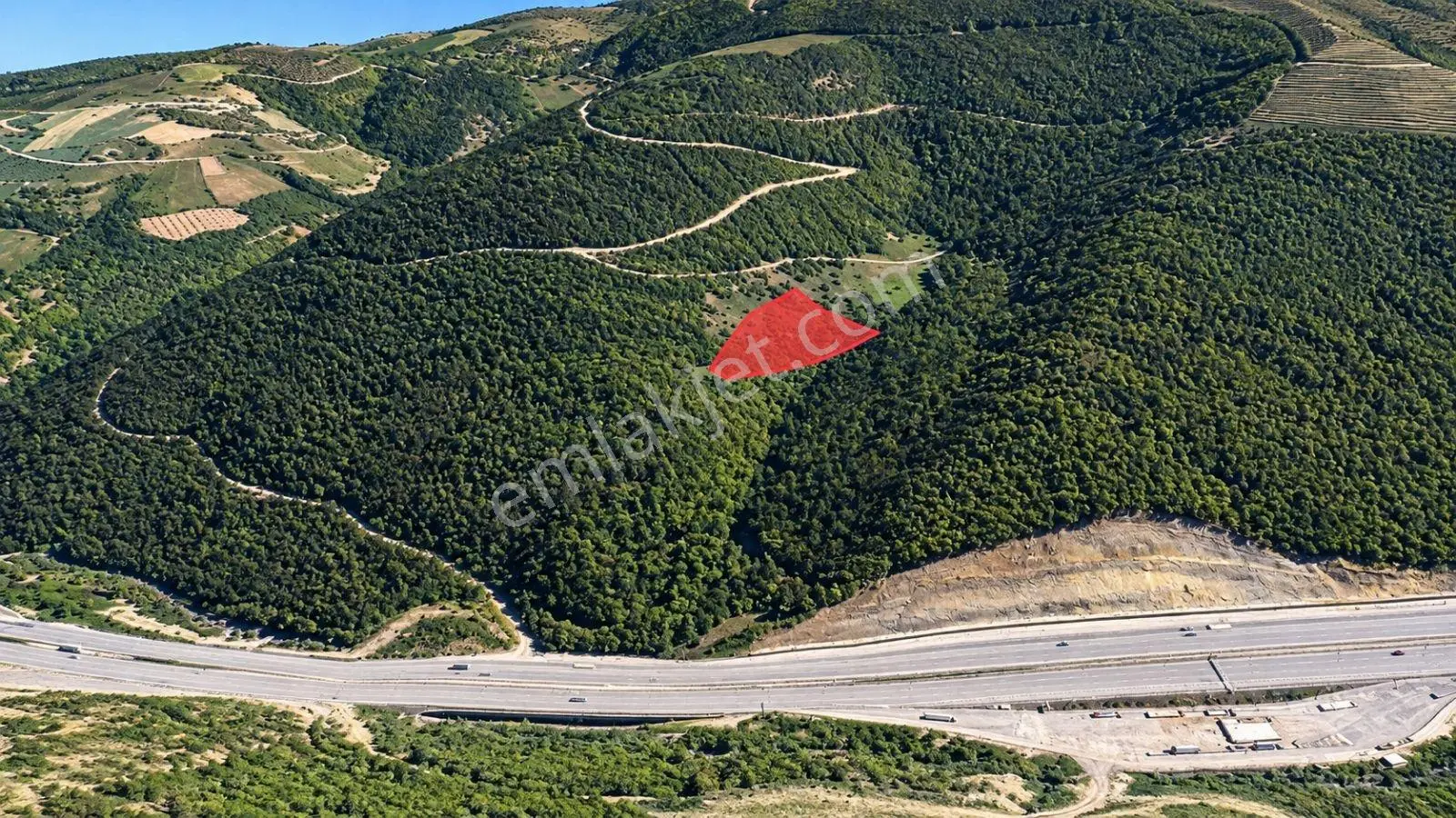 5557 M2/tek Tapu/satılık Tarla/remax Serhat — fotoğraf 6
