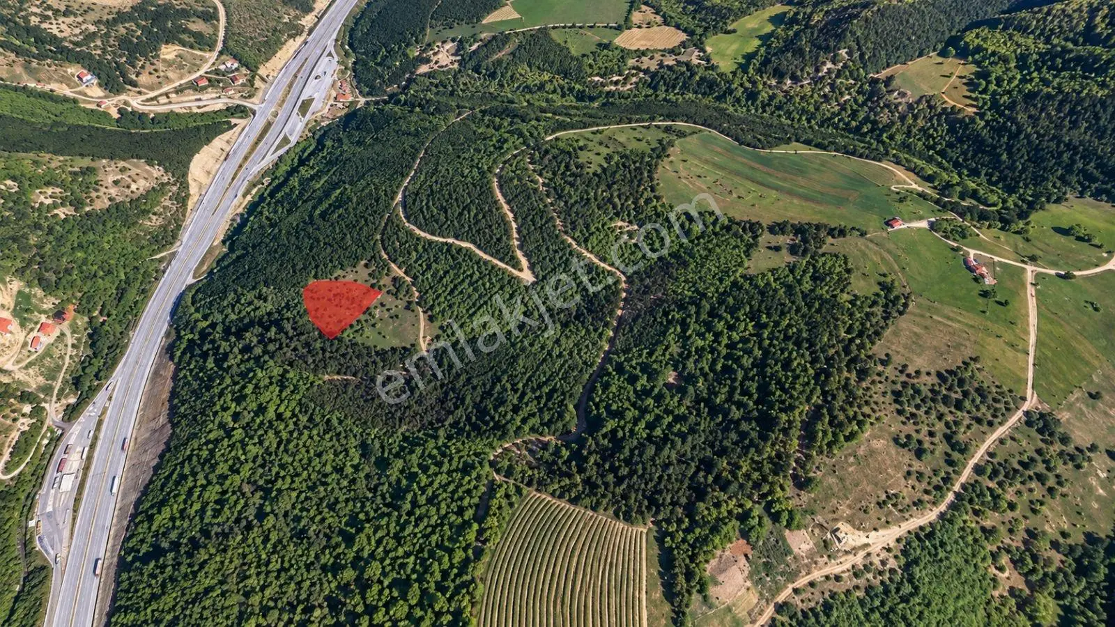5557 M2/tek Tapu/satılık Tarla/remax Serhat — fotoğraf 9