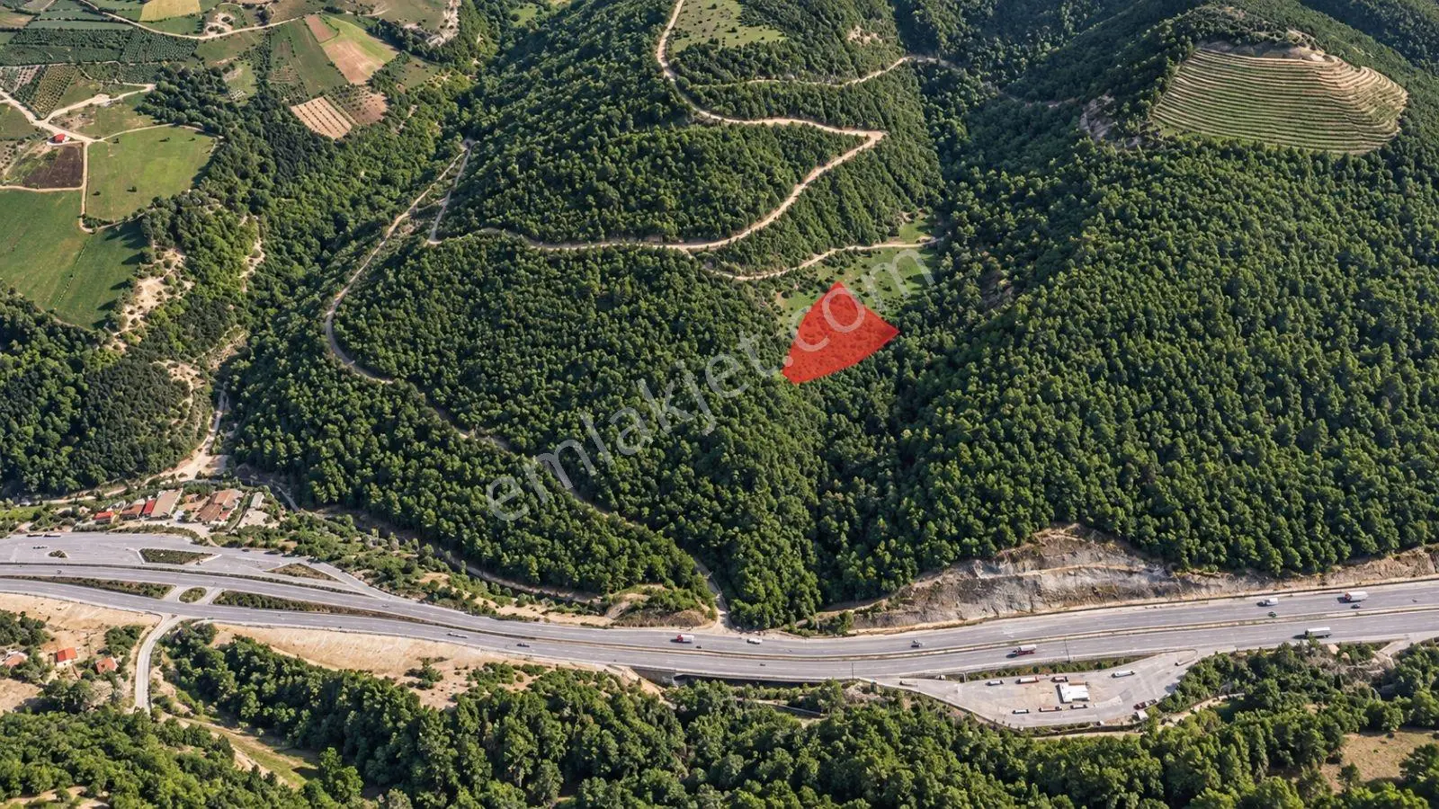 5557 M2/tek Tapu/satılık Tarla/remax Serhat — fotoğraf 11