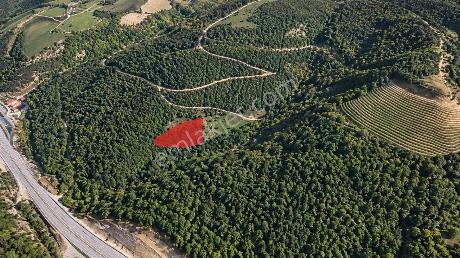 5557 M2/tek Tapu/satılık Tarla/remax Serhat — fotoğraf 13