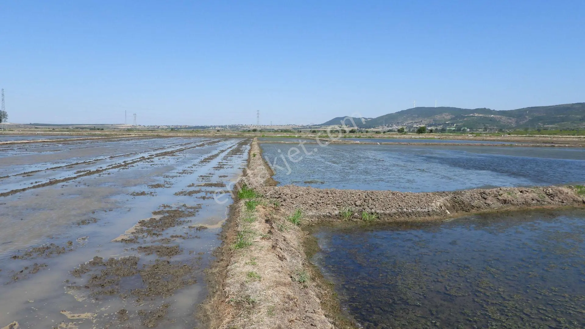 9.844 M2 Satılık Çeltik Tarlası Keşif Arazi.balıkesir Gönen Kurtuluş Mahallesi 1360 Ada 7 Parselded — fotoğraf 3