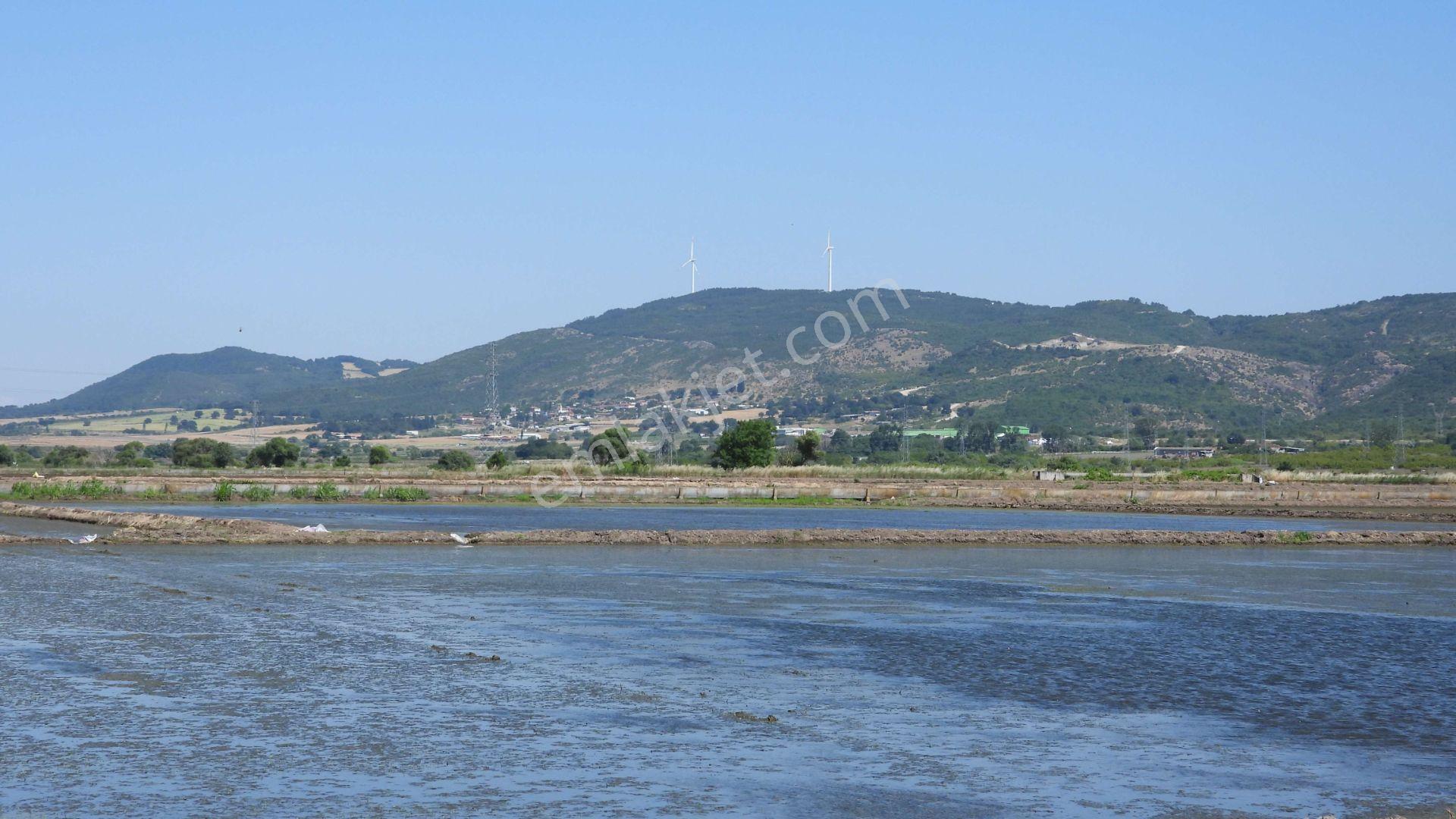 9.844 M2 Satılık Çeltik Tarlası Keşif Arazi.balıkesir Gönen Kurtuluş Mahallesi 1360 Ada 7 Parselded — fotoğraf 7
