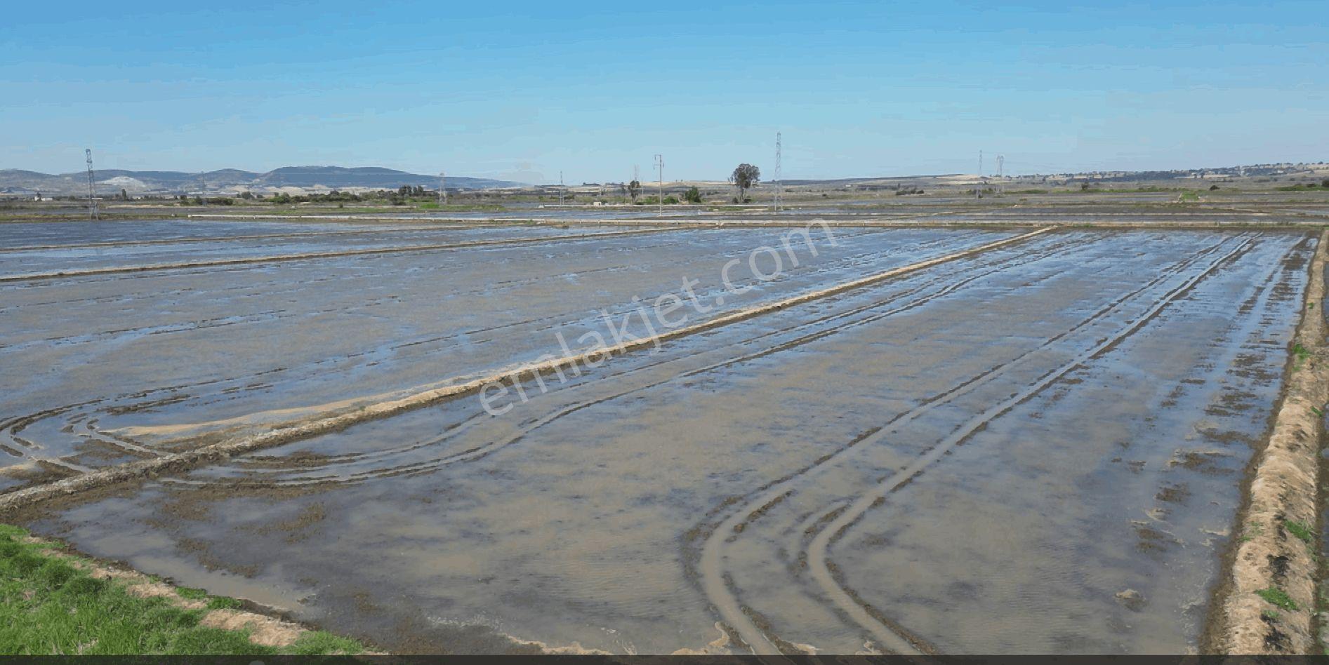 9.844 M2 Satılık Çeltik Tarlası Keşif Arazi.balıkesir Gönen Kurtuluş Mahallesi 1360 Ada 7 Parselded — fotoğraf 8