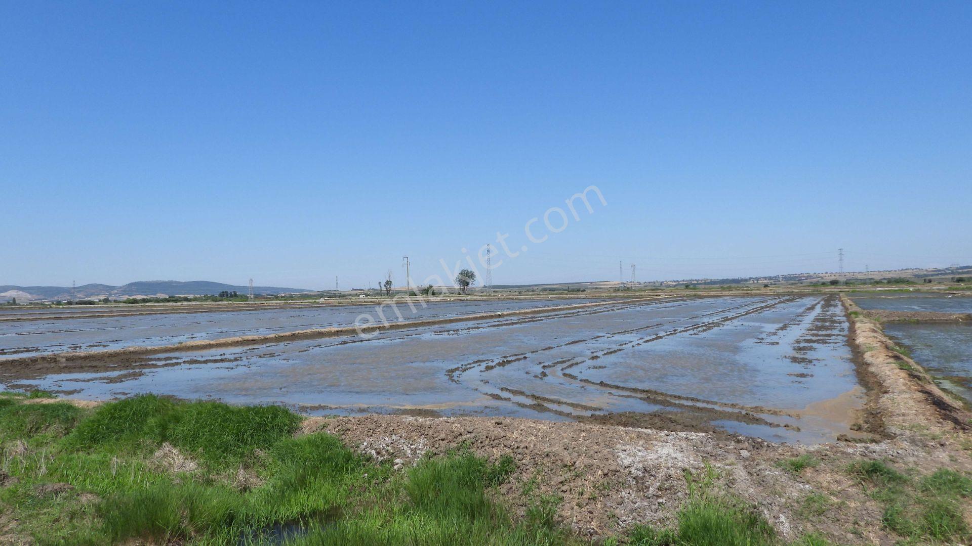 9.844 M2 Satılık Çeltik Tarlası Keşif Arazi.balıkesir Gönen Kurtuluş Mahallesi 1360 Ada 7 Parselded — fotoğraf 9