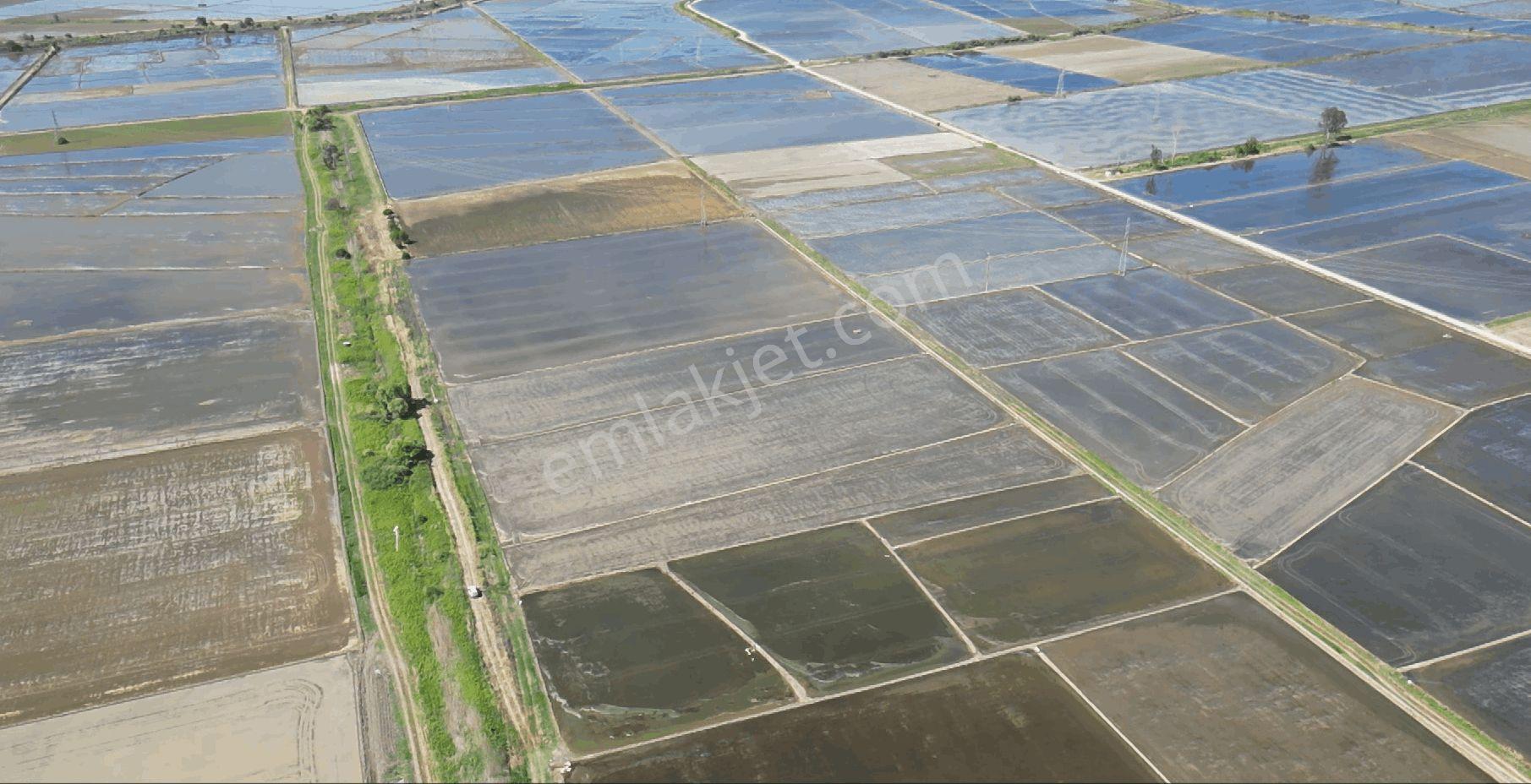 9.844 M2 Satılık Çeltik Tarlası Keşif Arazi.balıkesir Gönen Kurtuluş Mahallesi 1360 Ada 7 Parselded — fotoğraf 10