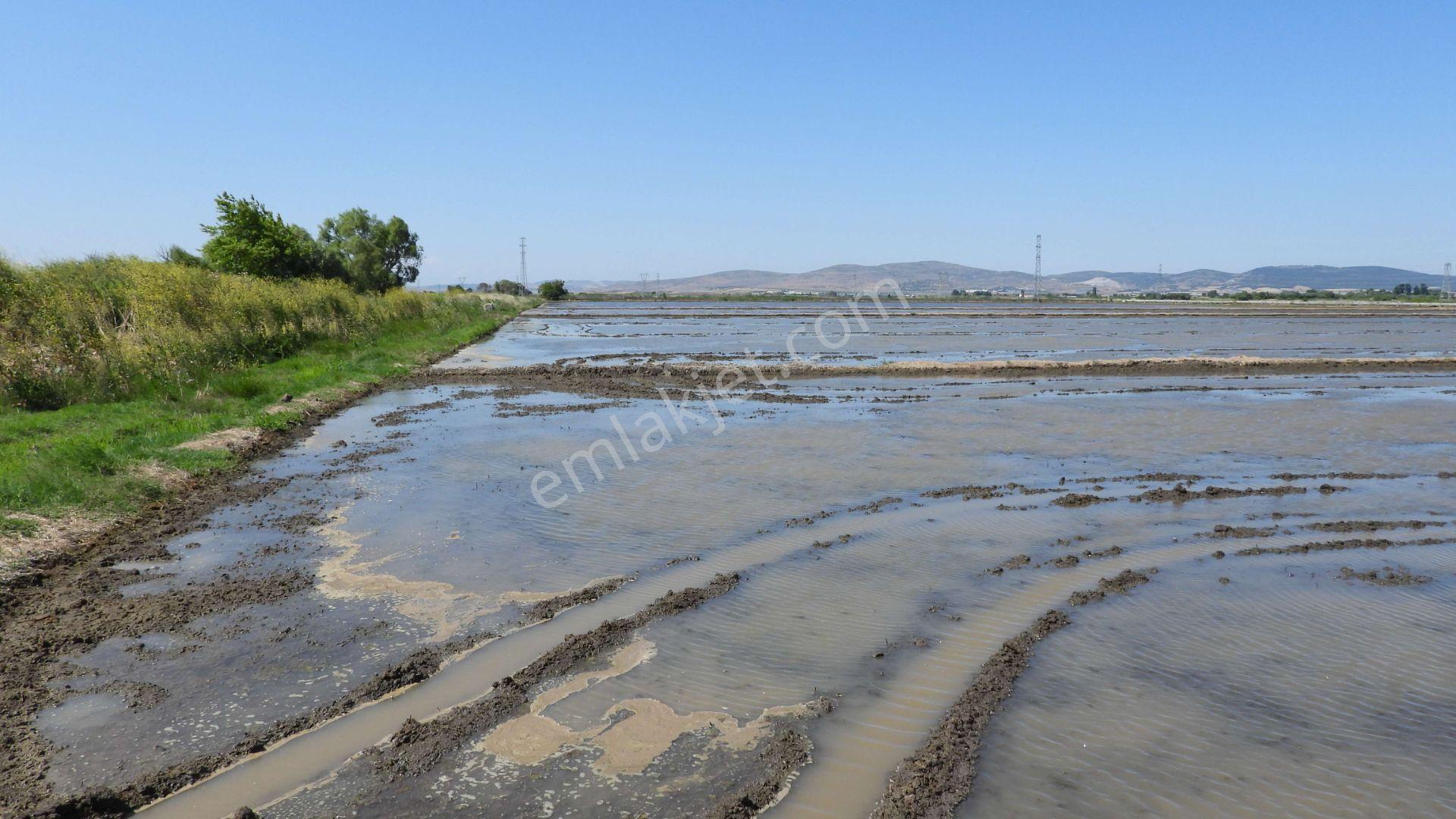 9.844 M2 Satılık Çeltik Tarlası Keşif Arazi.balıkesir Gönen Kurtuluş Mahallesi 1360 Ada 7 Parselded — fotoğraf 12