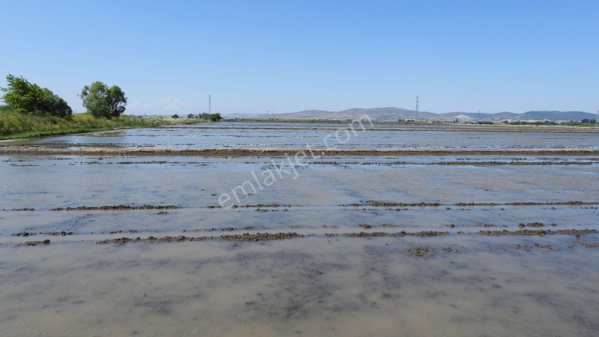 9.844 M2 Satılık Çeltik Tarlası Keşif Arazi.balıkesir Gönen Kurtuluş Mahallesi 1360 Ada 7 Parselded — fotoğraf 14