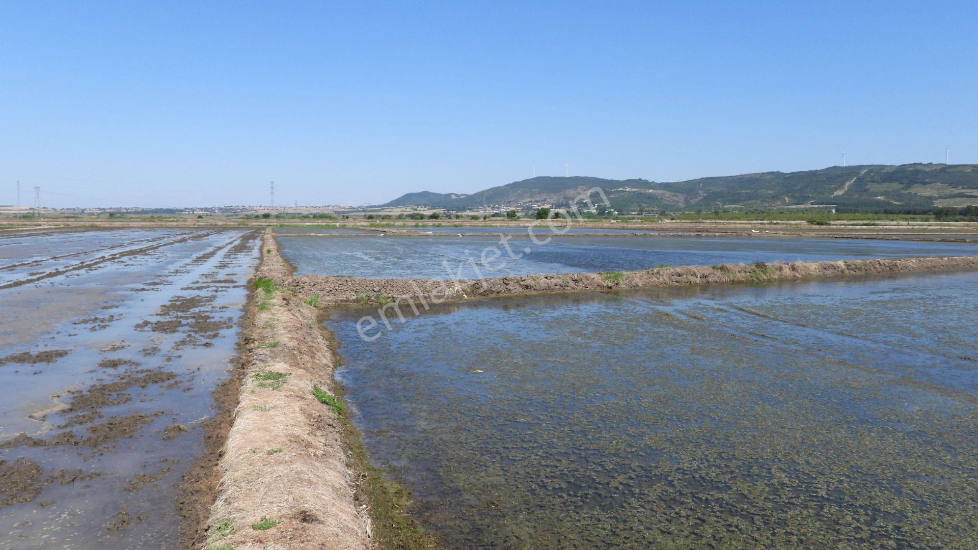 9.844 M2 Satılık Çeltik Tarlası Keşif Arazi.balıkesir Gönen Kurtuluş Mahallesi 1360 Ada 7 Parselded — fotoğraf 15