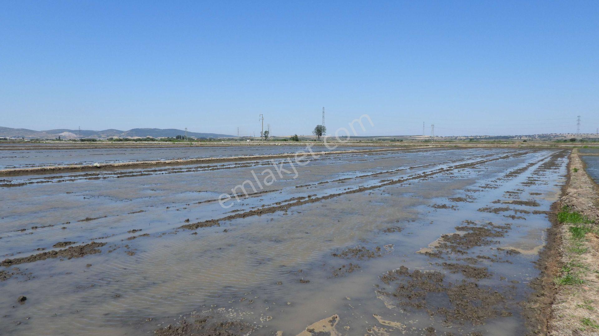 9.844 M2 Satılık Çeltik Tarlası Keşif Arazi.balıkesir Gönen Kurtuluş Mahallesi 1360 Ada 7 Parselded — fotoğraf 16