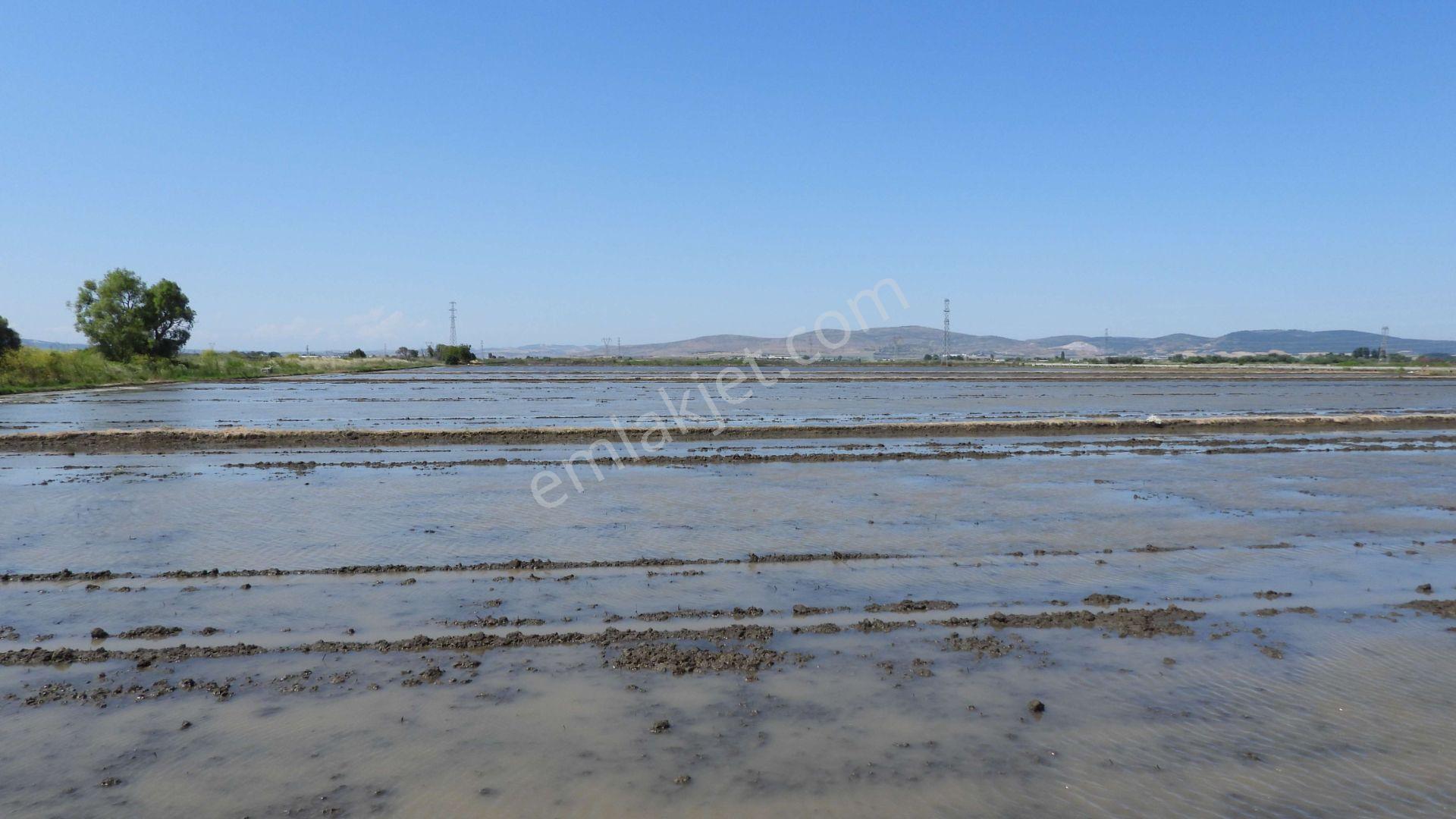 9.844 M2 Satılık Çeltik Tarlası Keşif Arazi.balıkesir Gönen Kurtuluş Mahallesi 1360 Ada 7 Parselded — fotoğraf 17