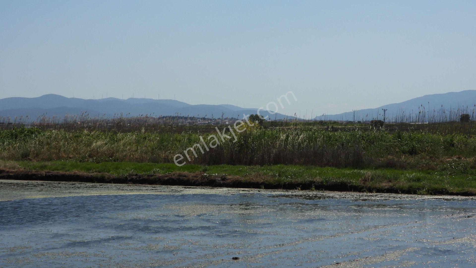 9.844 M2 Satılık Çeltik Tarlası Keşif Arazi.balıkesir Gönen Kurtuluş Mahallesi 1360 Ada 7 Parselded — fotoğraf 18