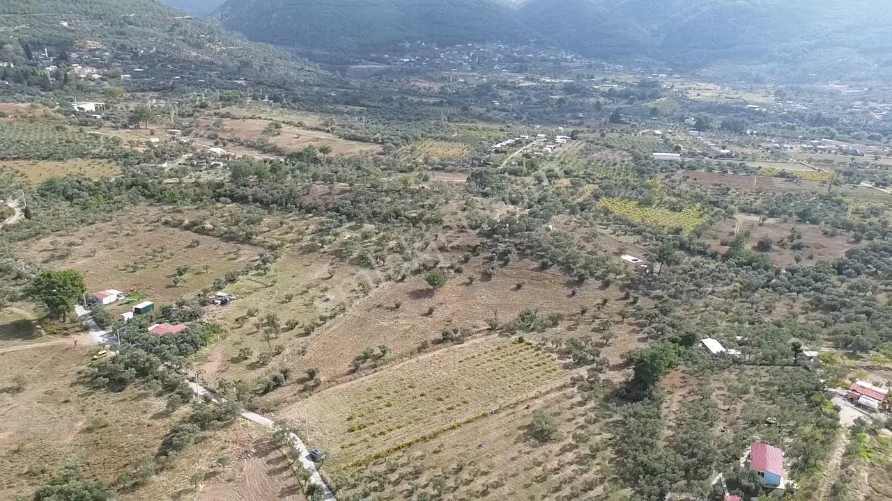 Kadastral Yola Cepheli Zeytinli Tarla — fotoğraf 12
