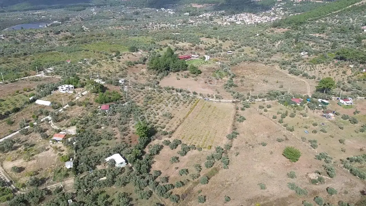 Kadastral Yola Cepheli Zeytinli Tarla — fotoğraf 15