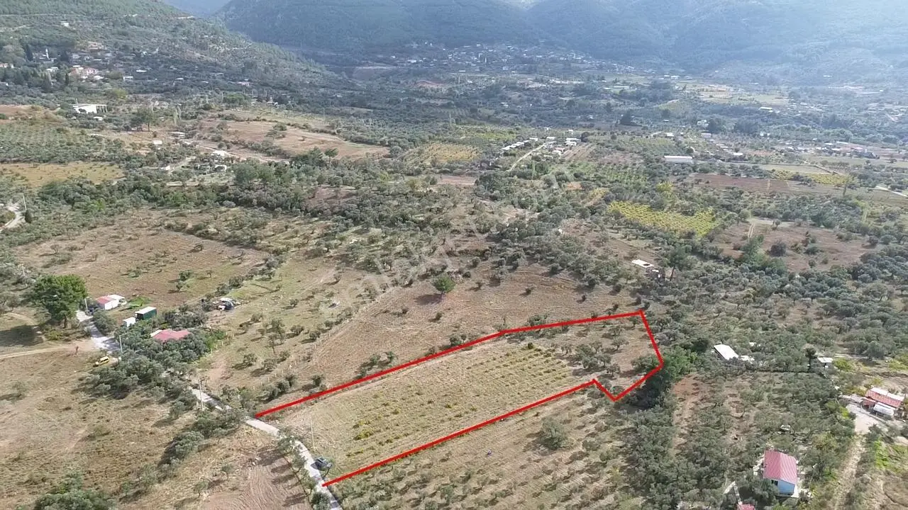 Kadastral Yola Cepheli Zeytinli Tarla — fotoğraf 16